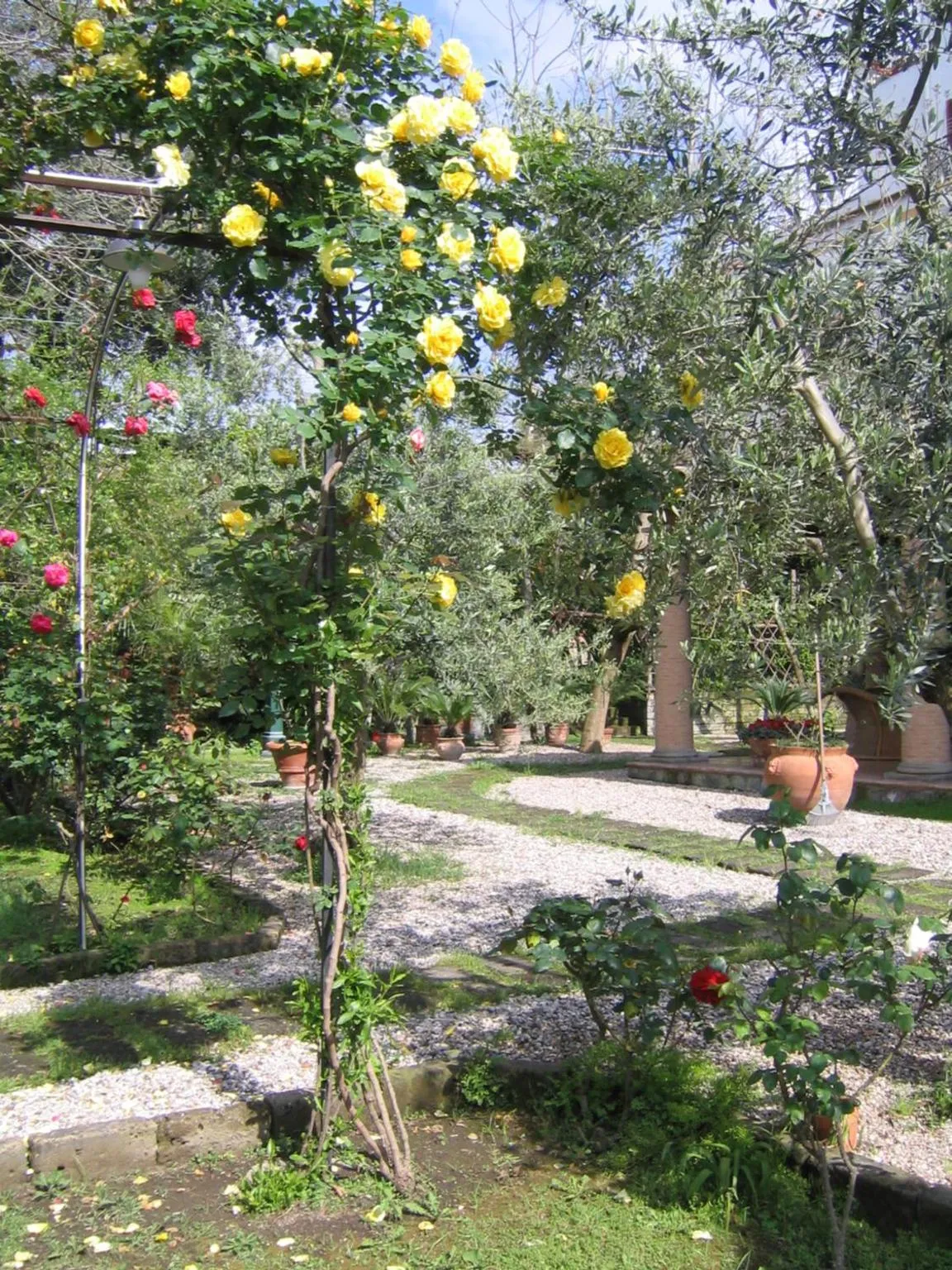 Garden in Suite Lidia B&B