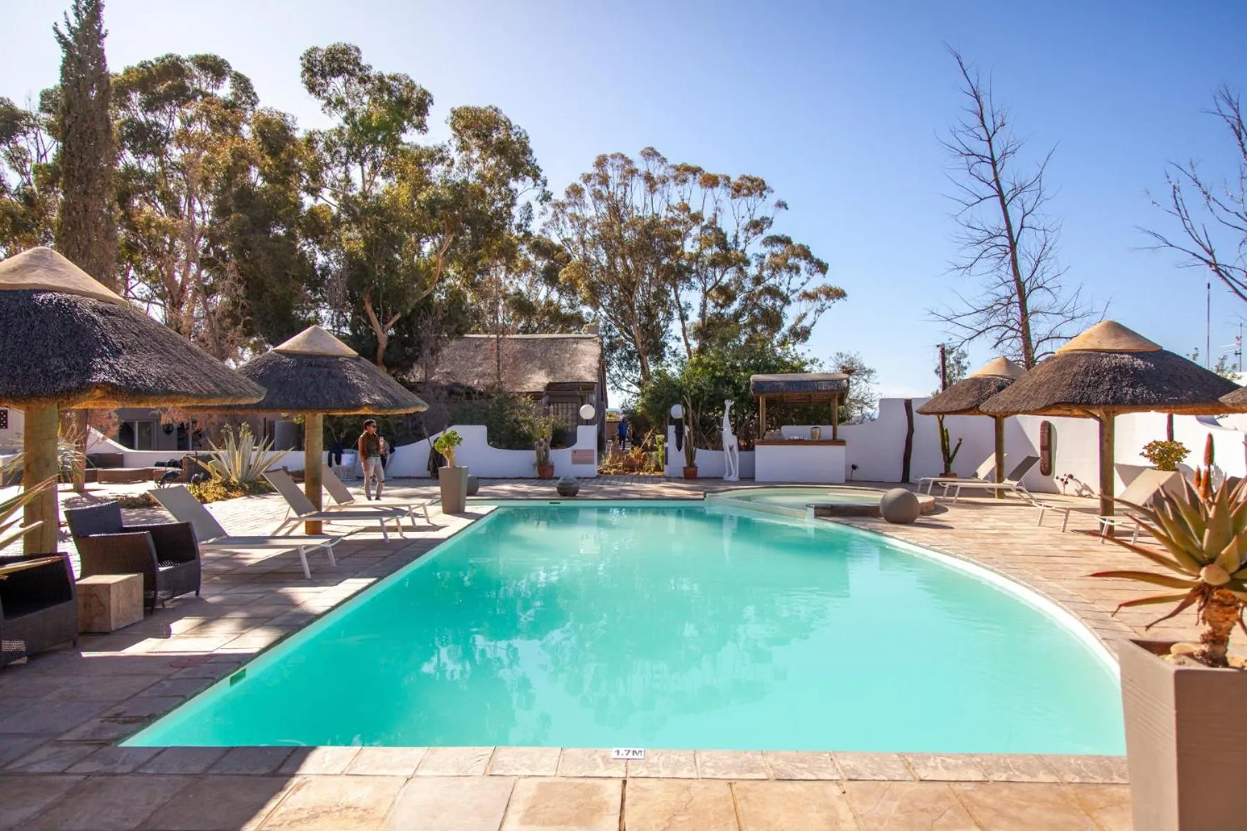 Swimming pool in Inverdoorn Game Reserve Lodge