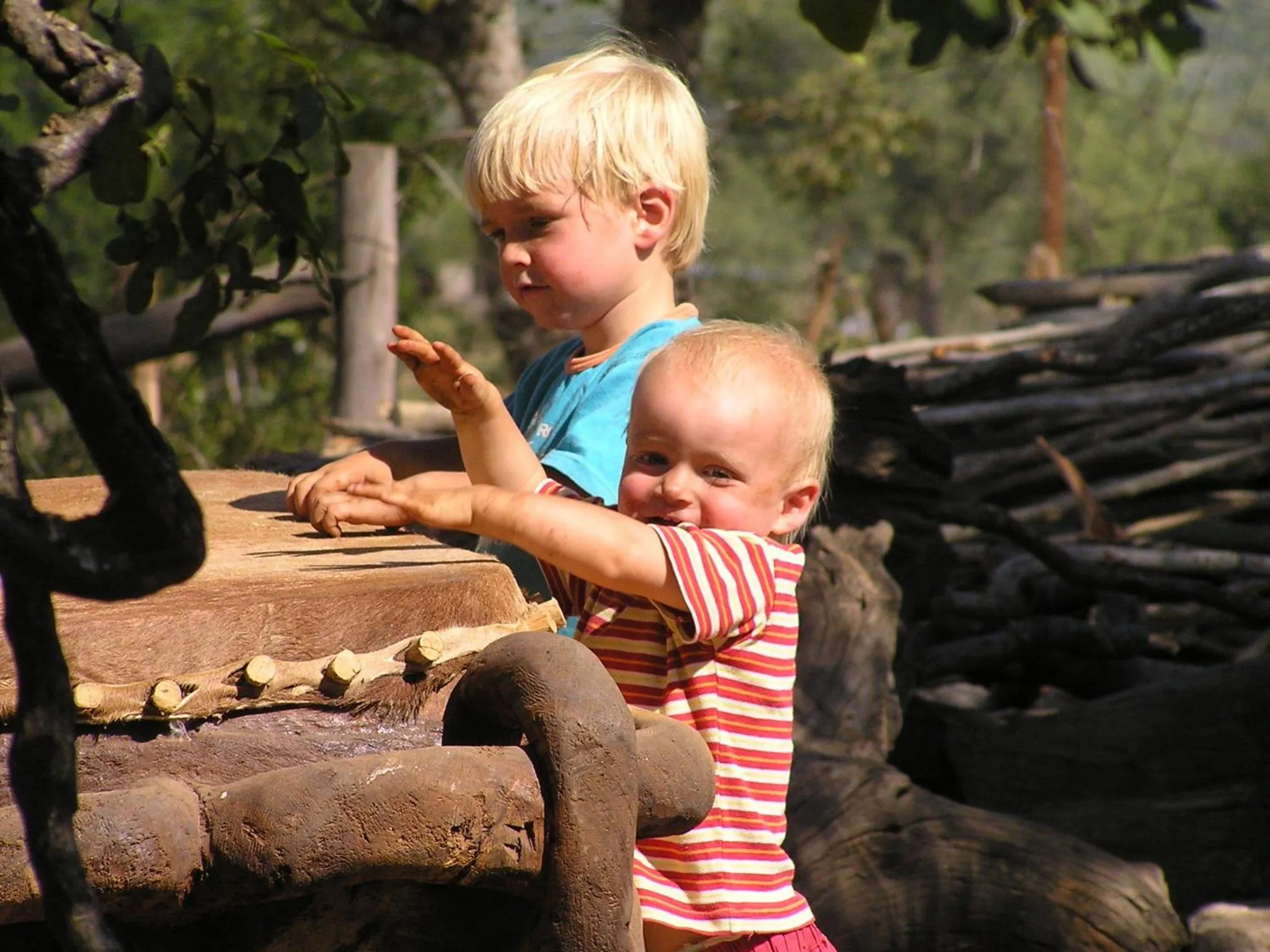 Day in Madi a Thavha Mountain Lodge