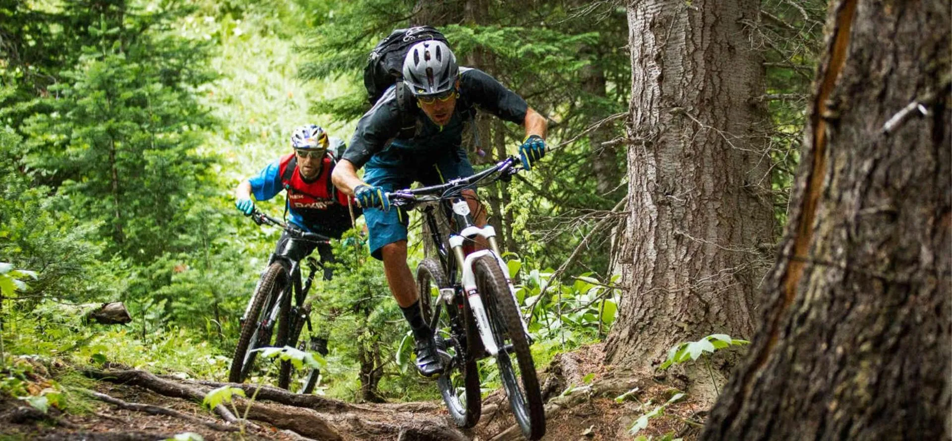 Activities in Castello Cortevecchio