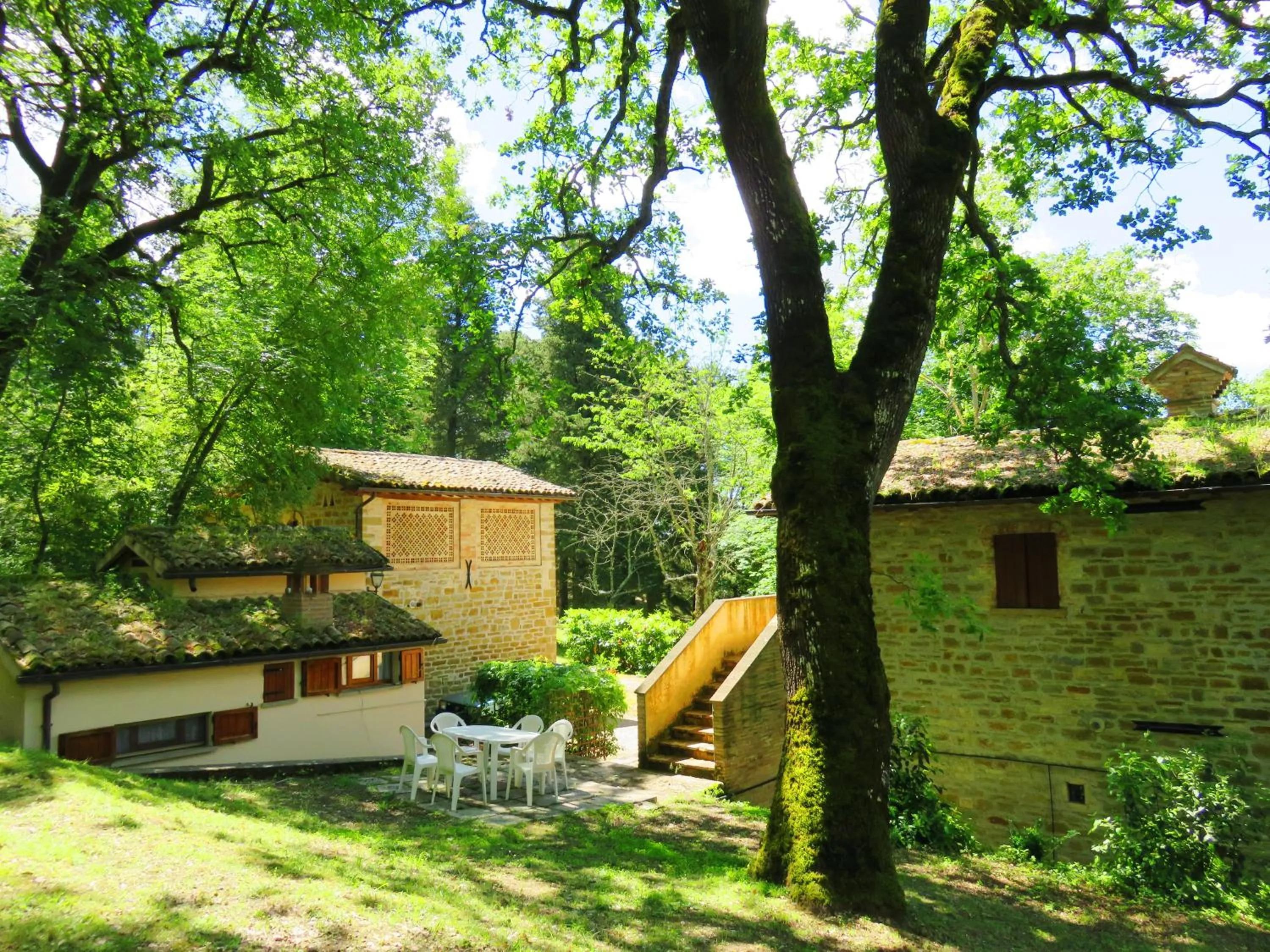 Garden view in Castello Cortevecchio