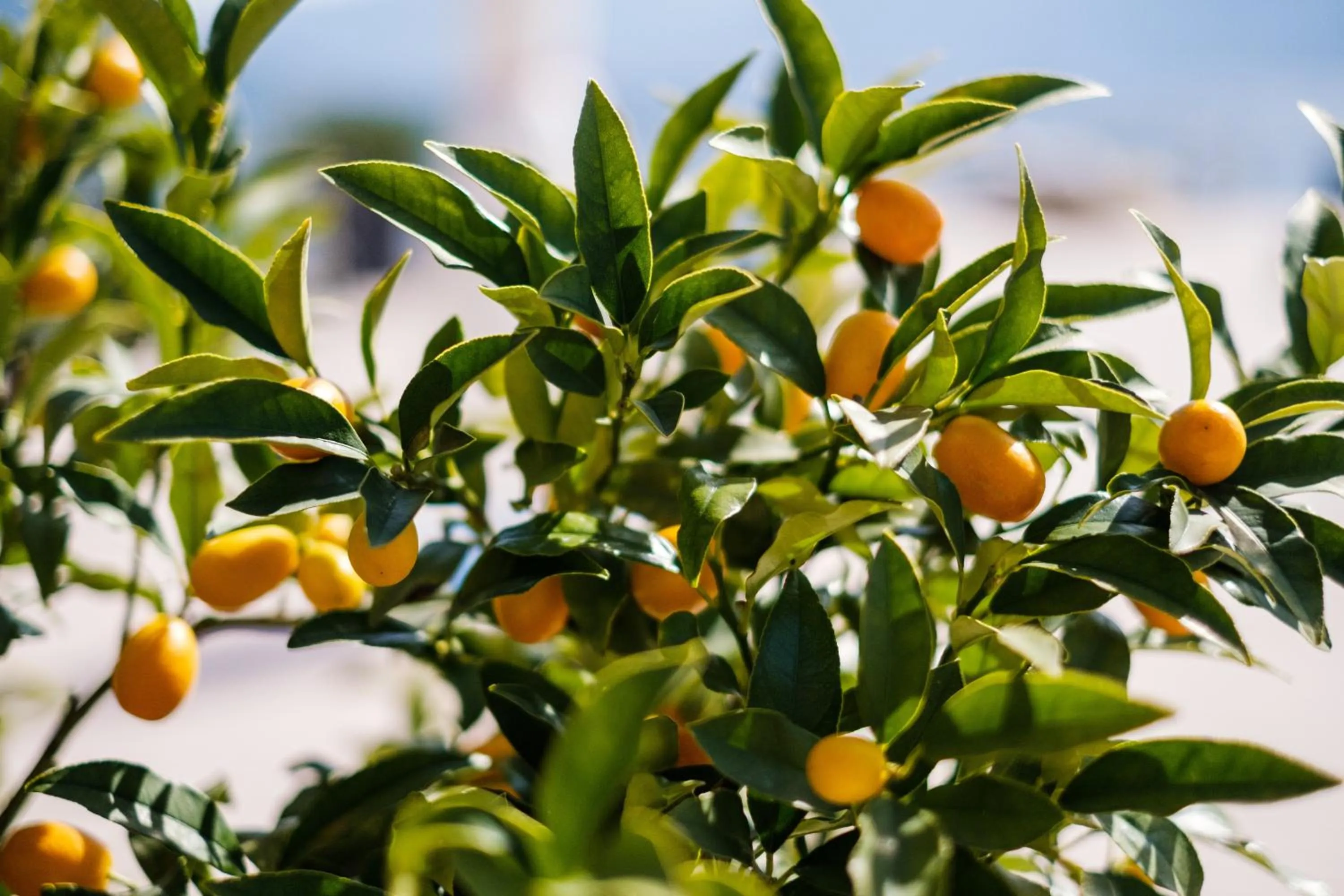 Staff in Hotel Eden Roc - The Leading Hotels of the World