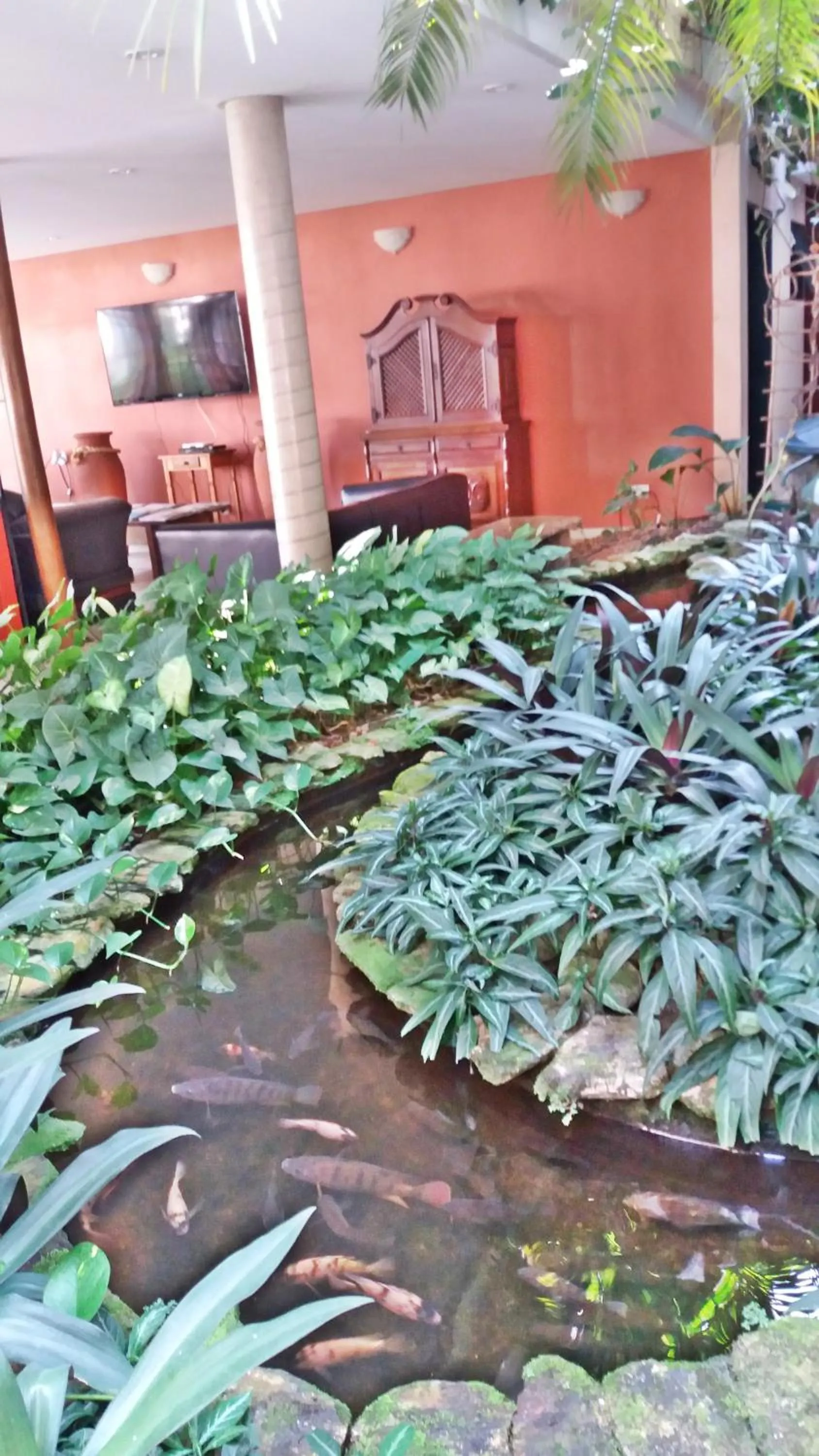 Garden in Pousada Villa Harmonia