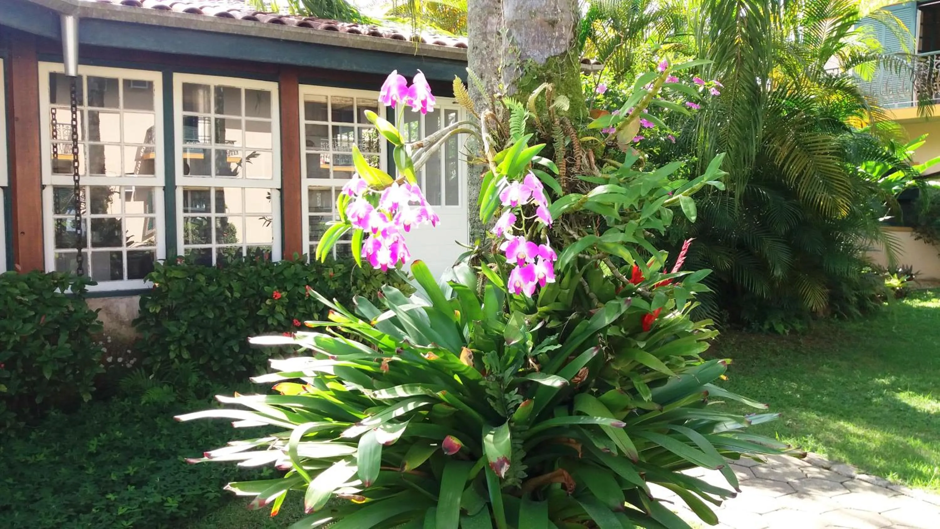 Garden in Pousada Villa Harmonia