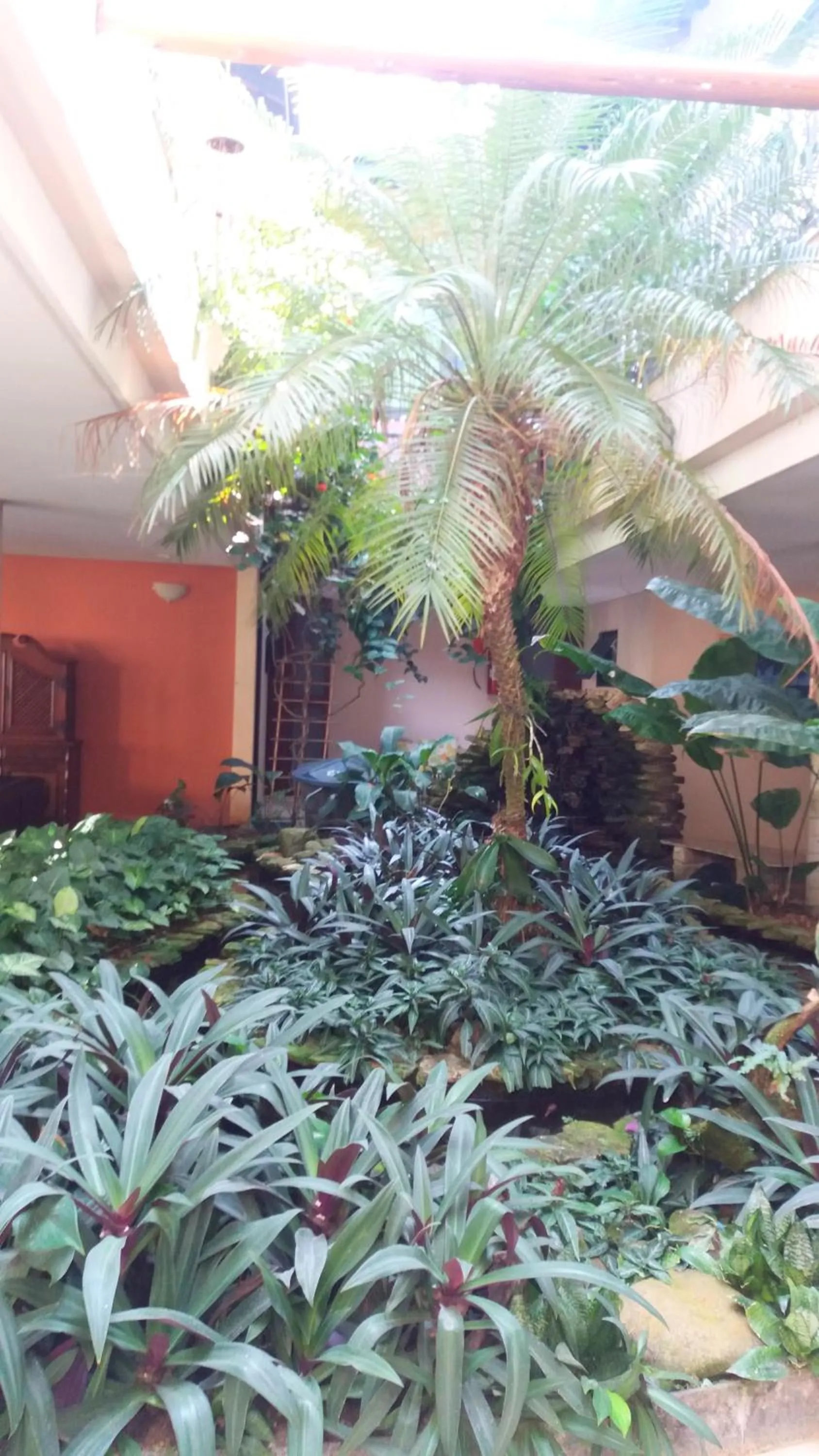 Garden in Pousada Villa Harmonia
