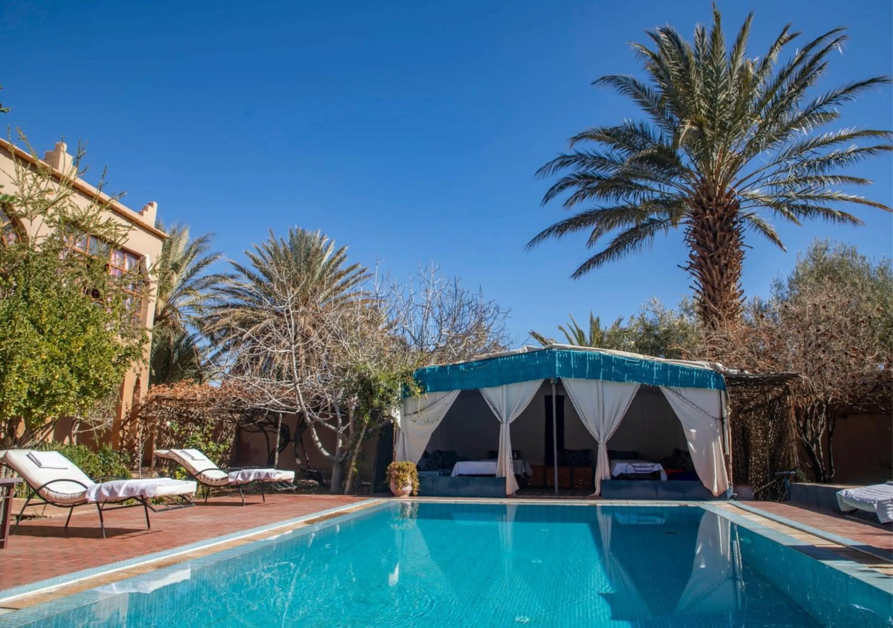 Pool view in Bassatine Skoura