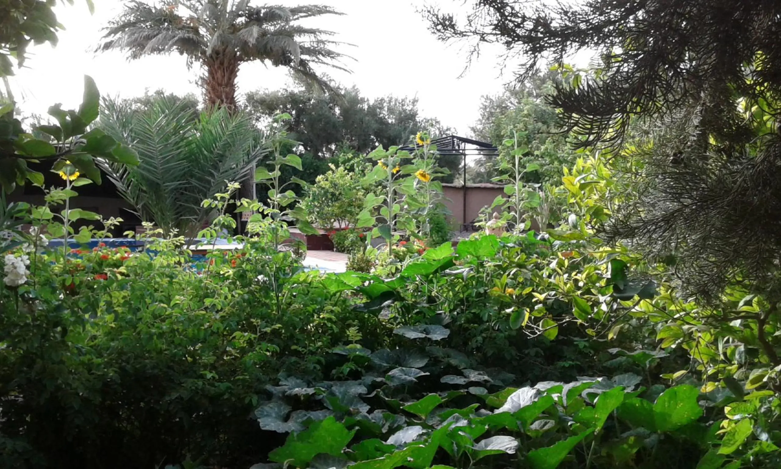 Day in Bassatine Skoura