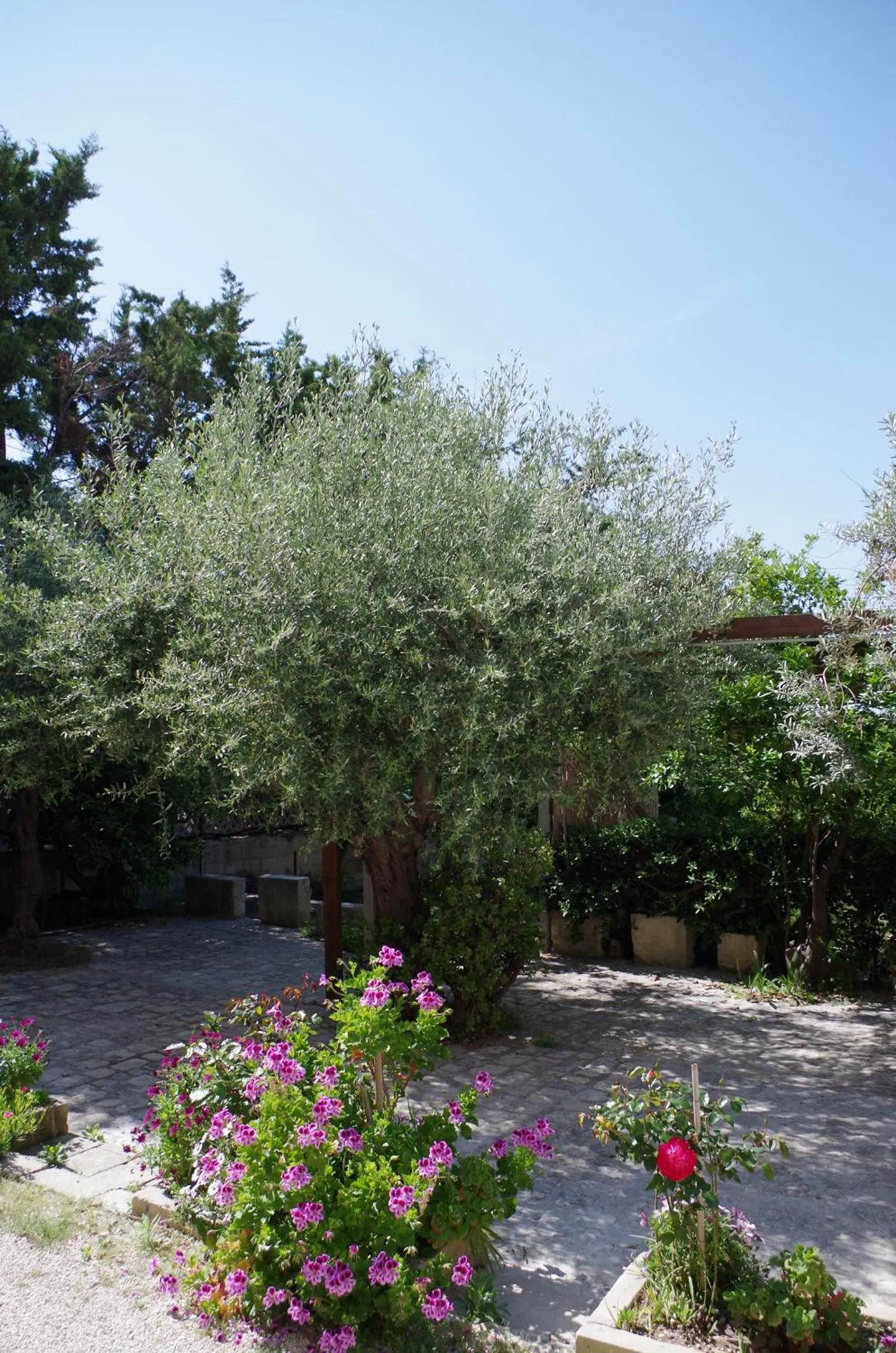 Garden in Corsaro B&B