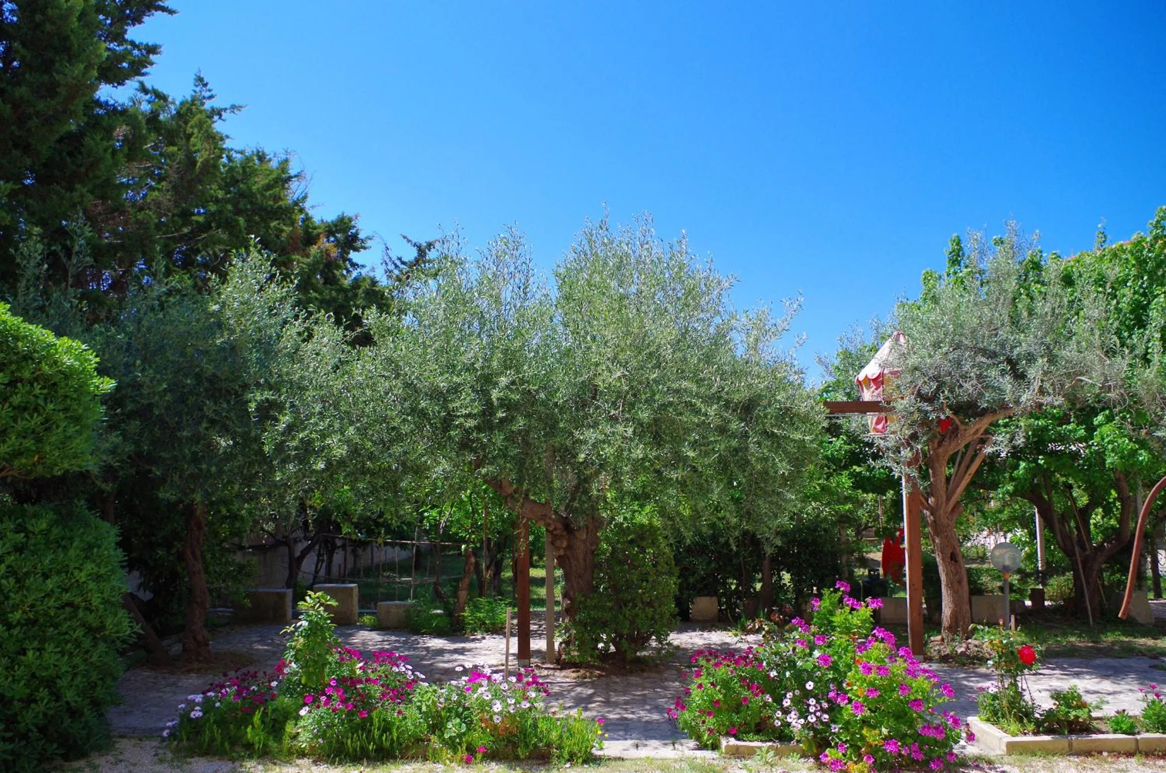 Garden in Corsaro B&B