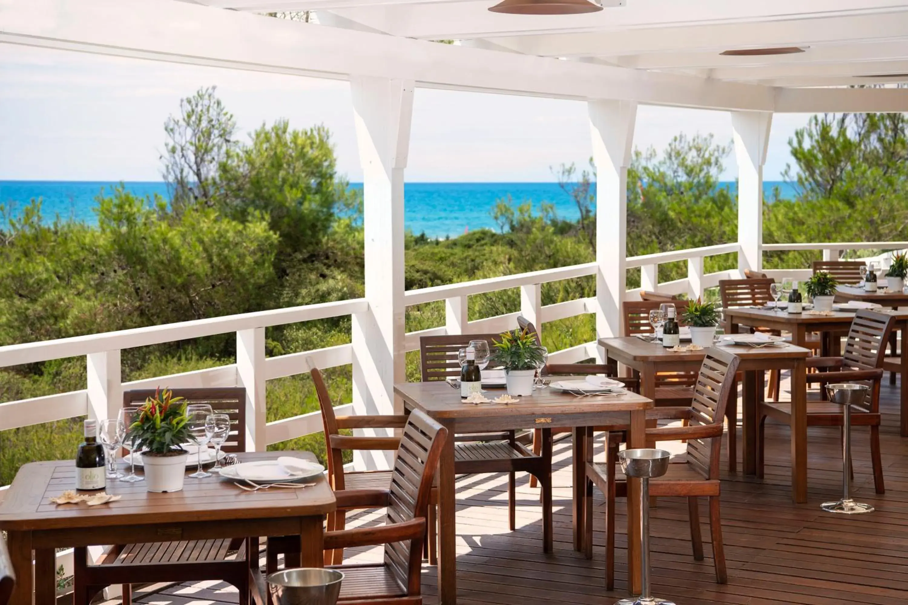 Restaurant/places to eat in Ethra Reserve Kalidria Restaurant/places to eat in Ethra Reserve Kalidria