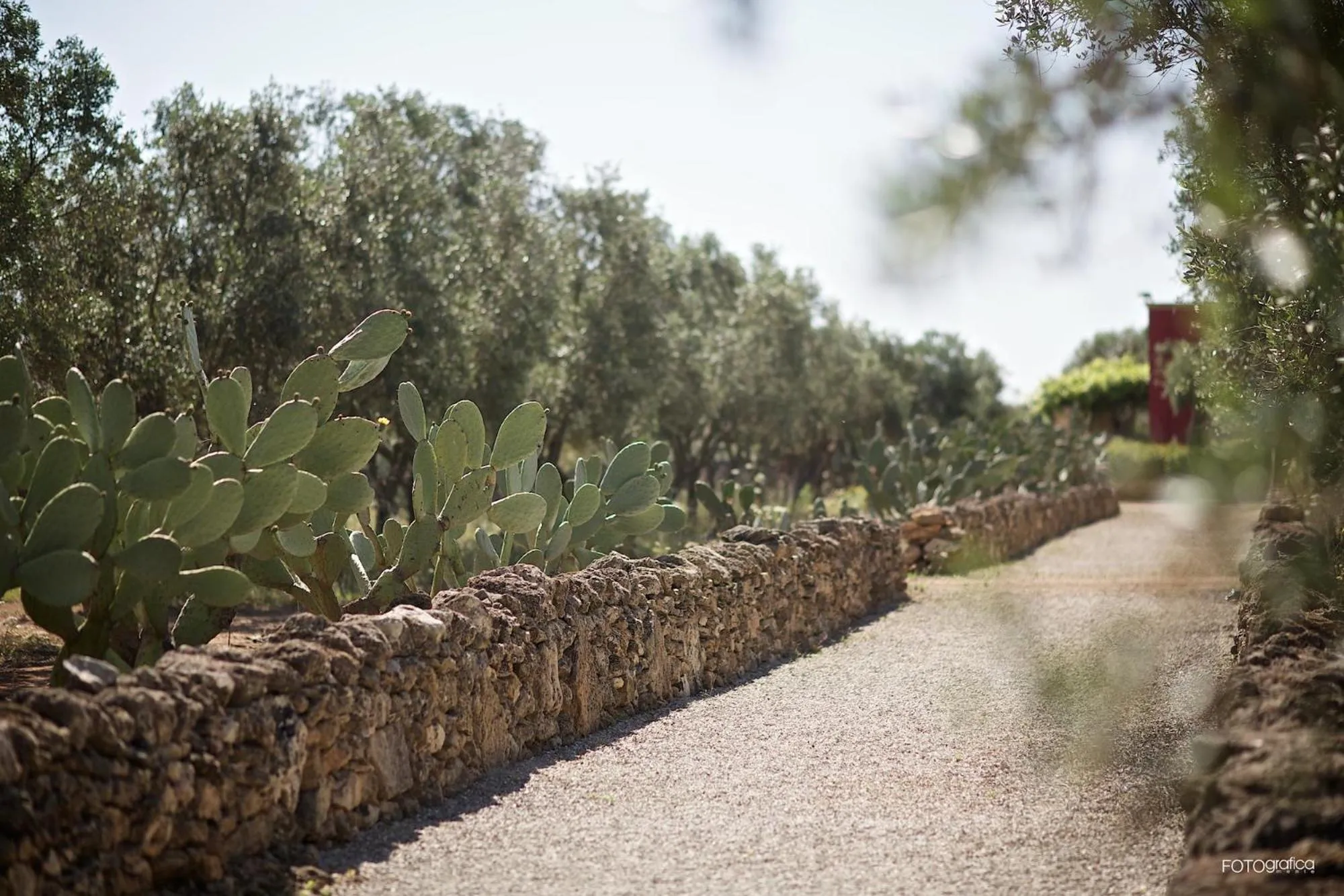 Natural landscape in Tenuta Monacelli Lecce