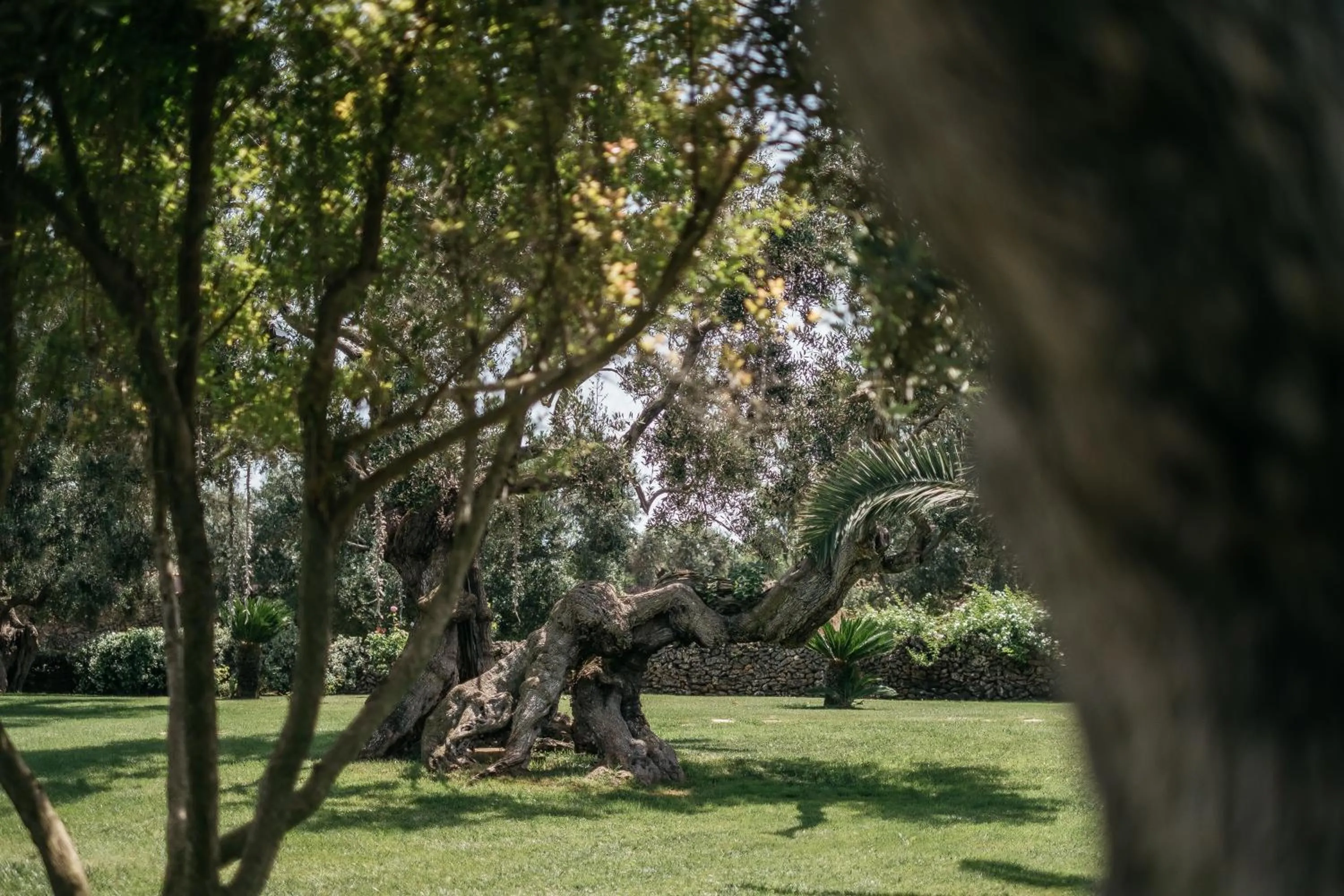 Garden in Tenuta Monacelli Lecce