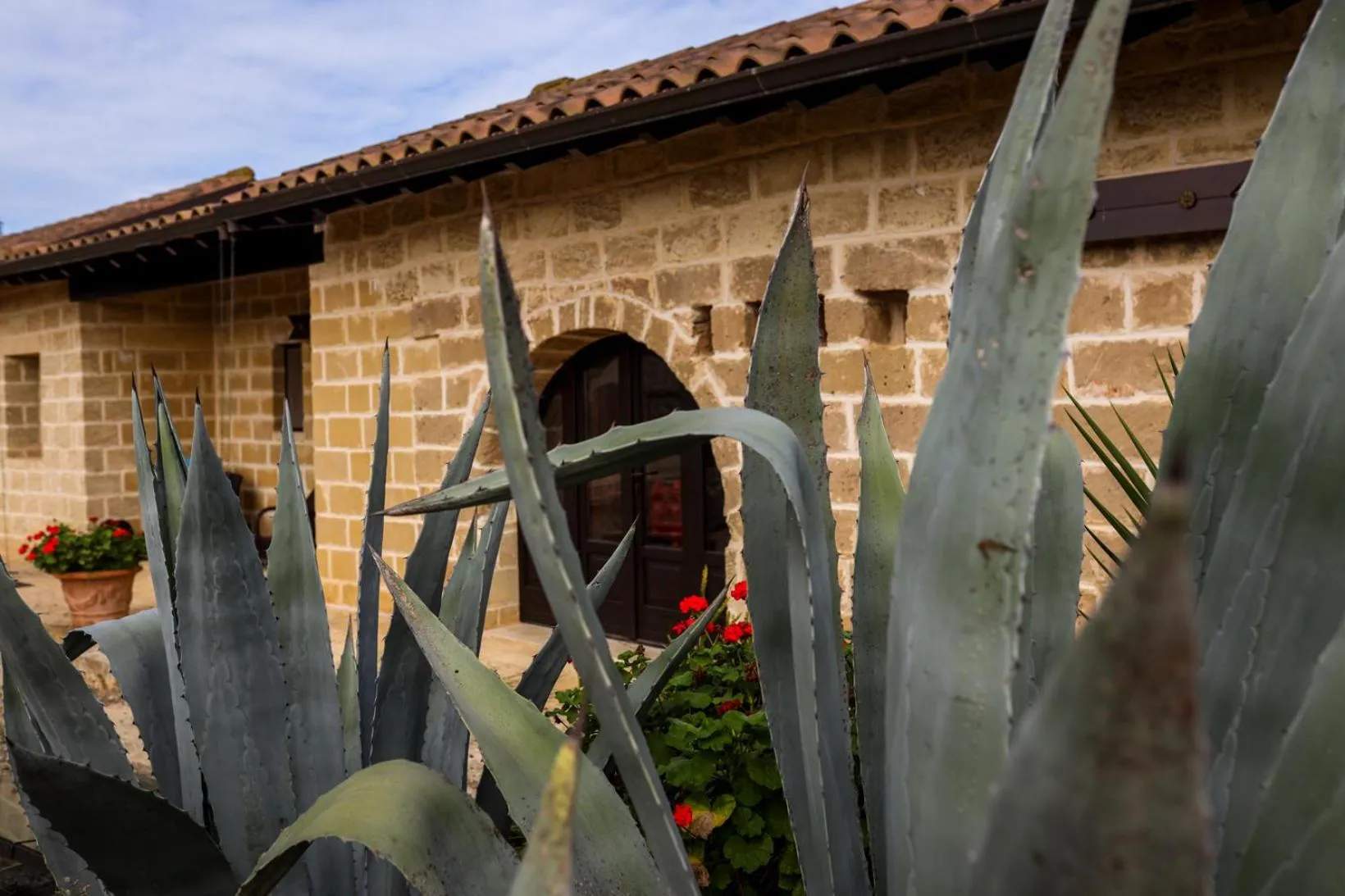 Natural landscape in Tenuta Monacelli Lecce