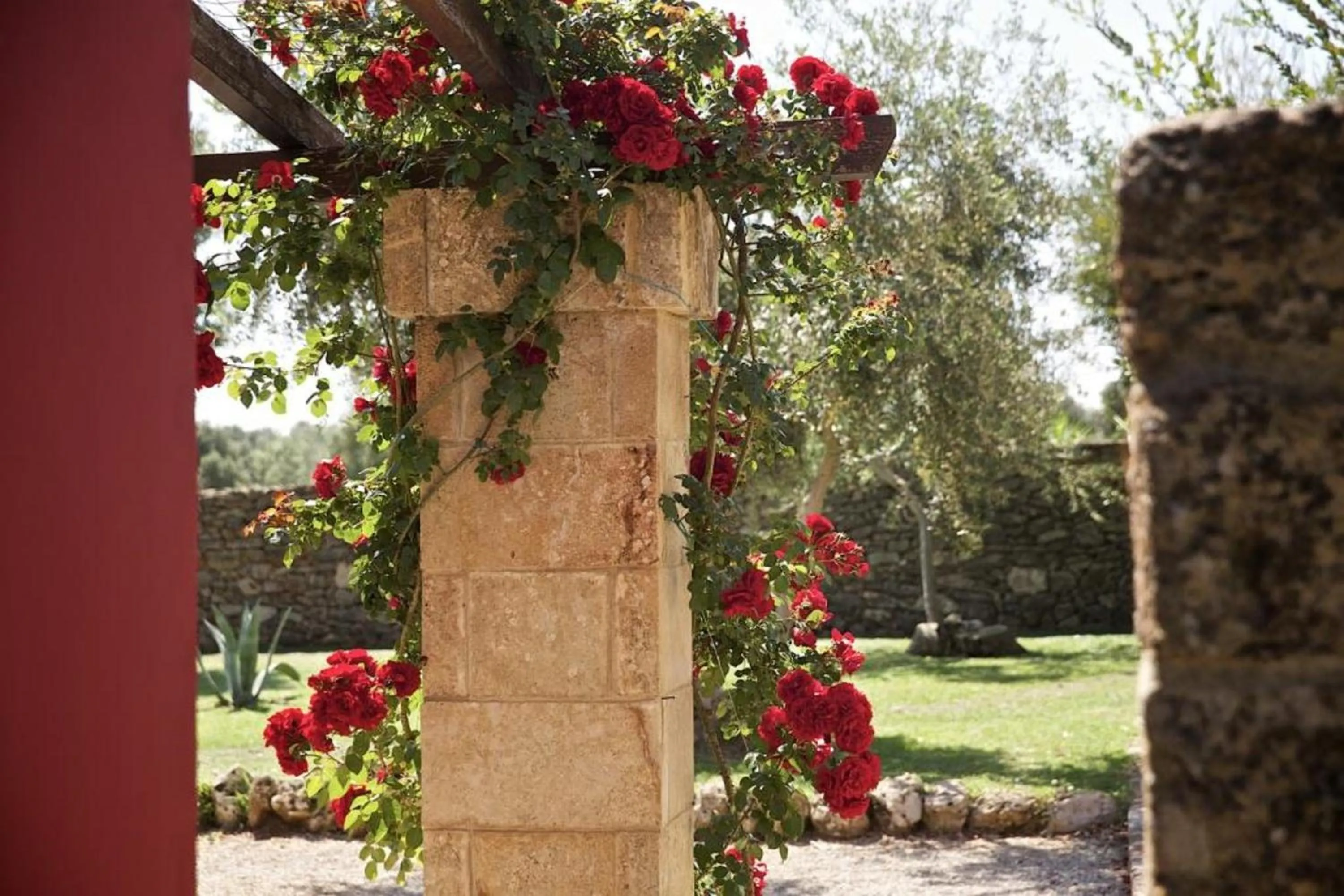 Garden in Tenuta Monacelli Lecce