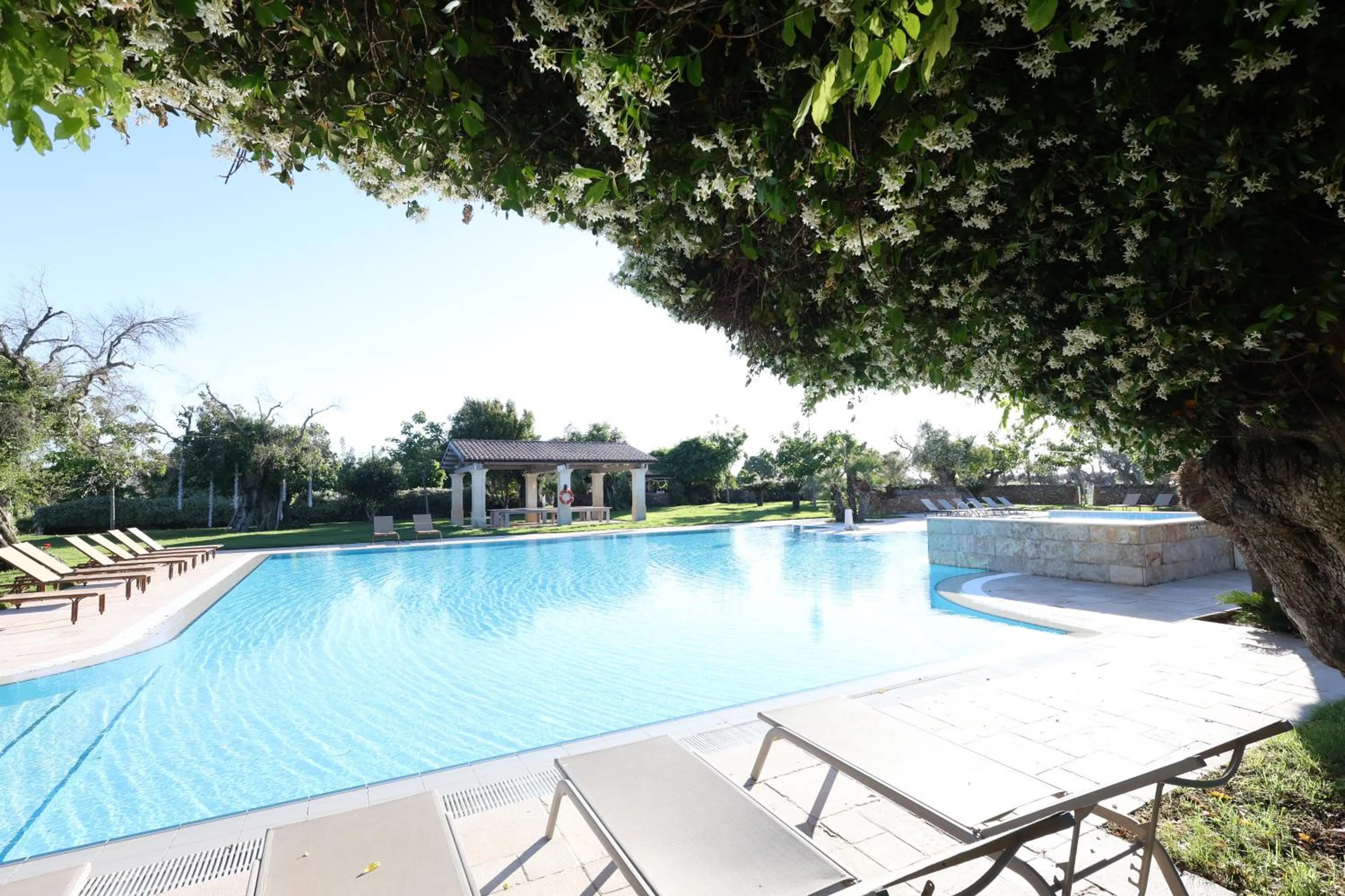 Swimming pool in Tenuta Monacelli Lecce
