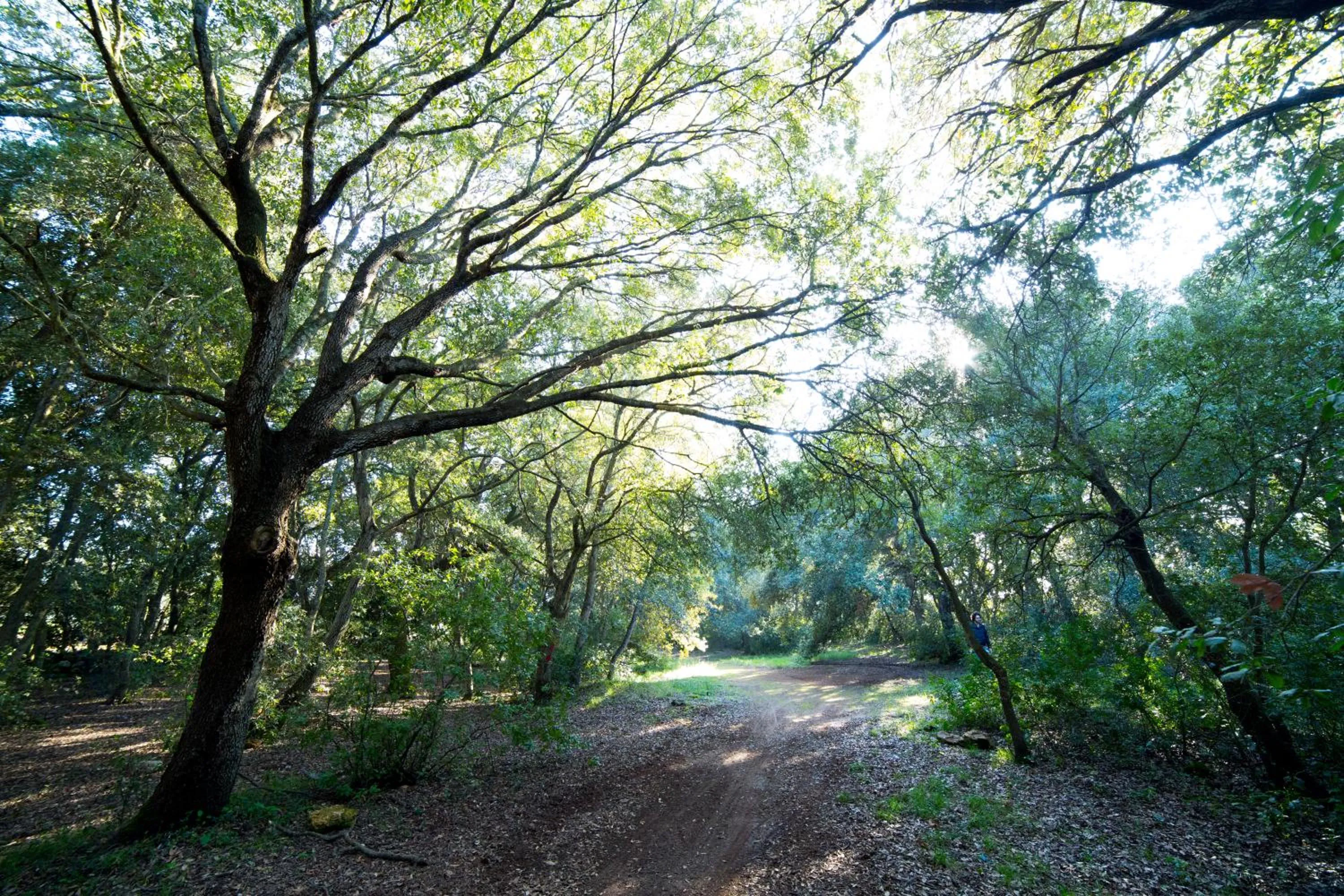 Natural landscape in Tenuta Monacelli Lecce
