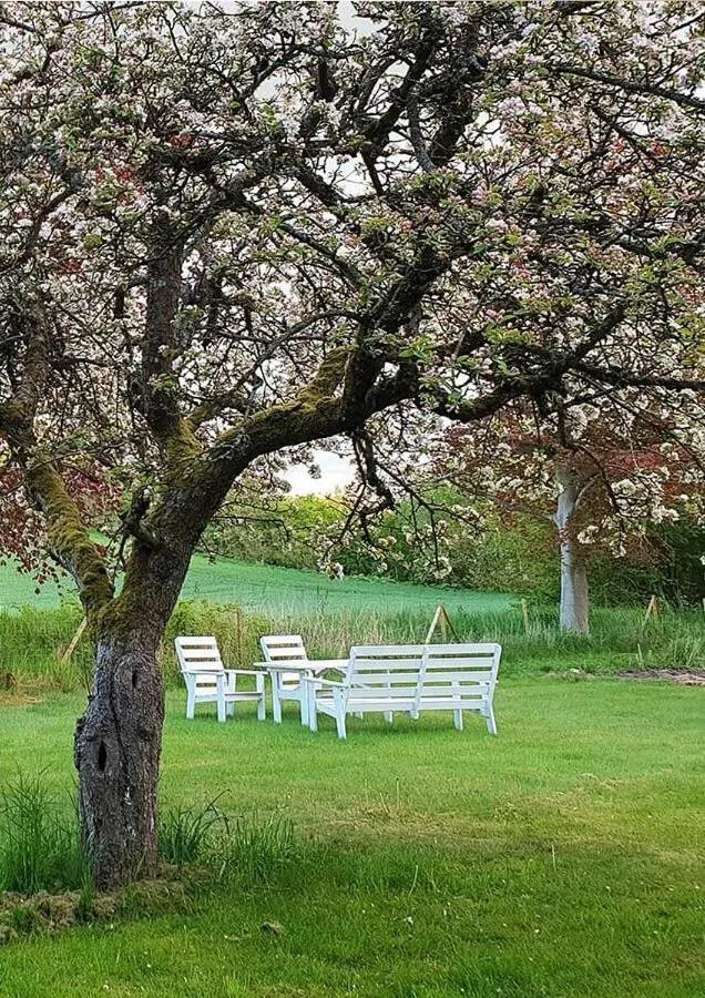 Natural landscape in Minnesberg Bed & Breakfast