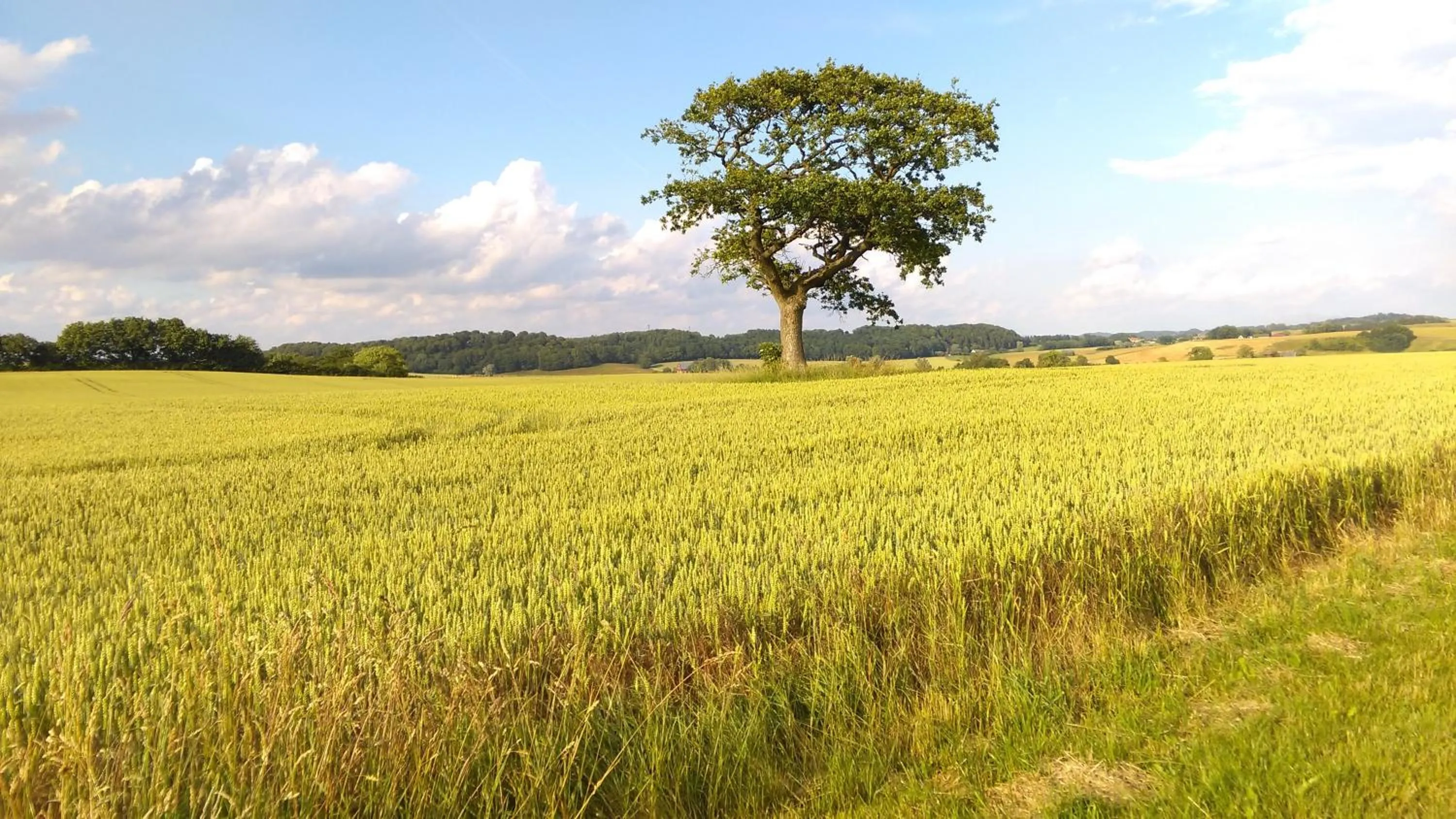 Neighbourhood in Minnesberg Bed & Breakfast
