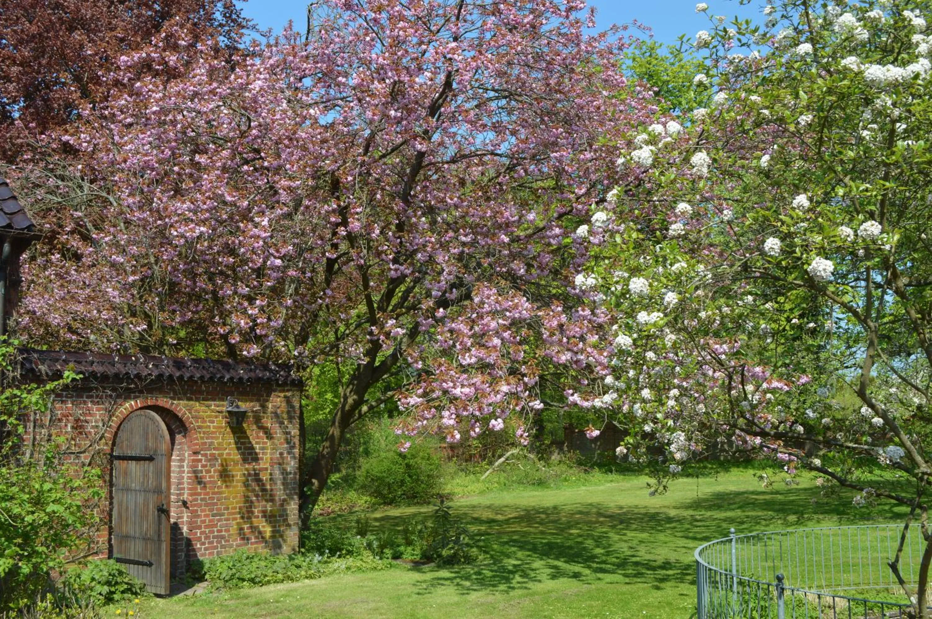 Natural landscape in Minnesberg Bed & Breakfast