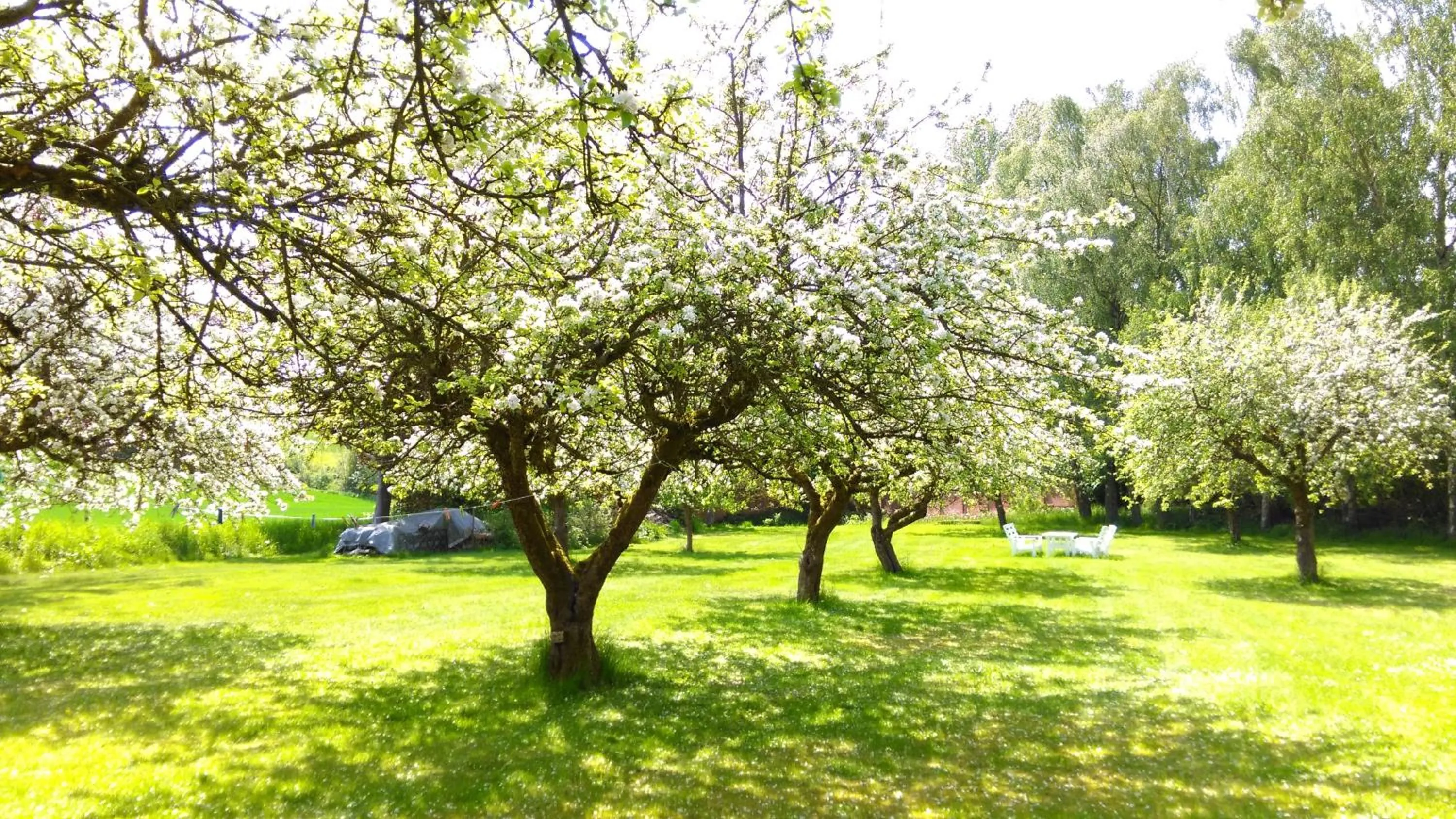 Natural landscape in Minnesberg Bed & Breakfast