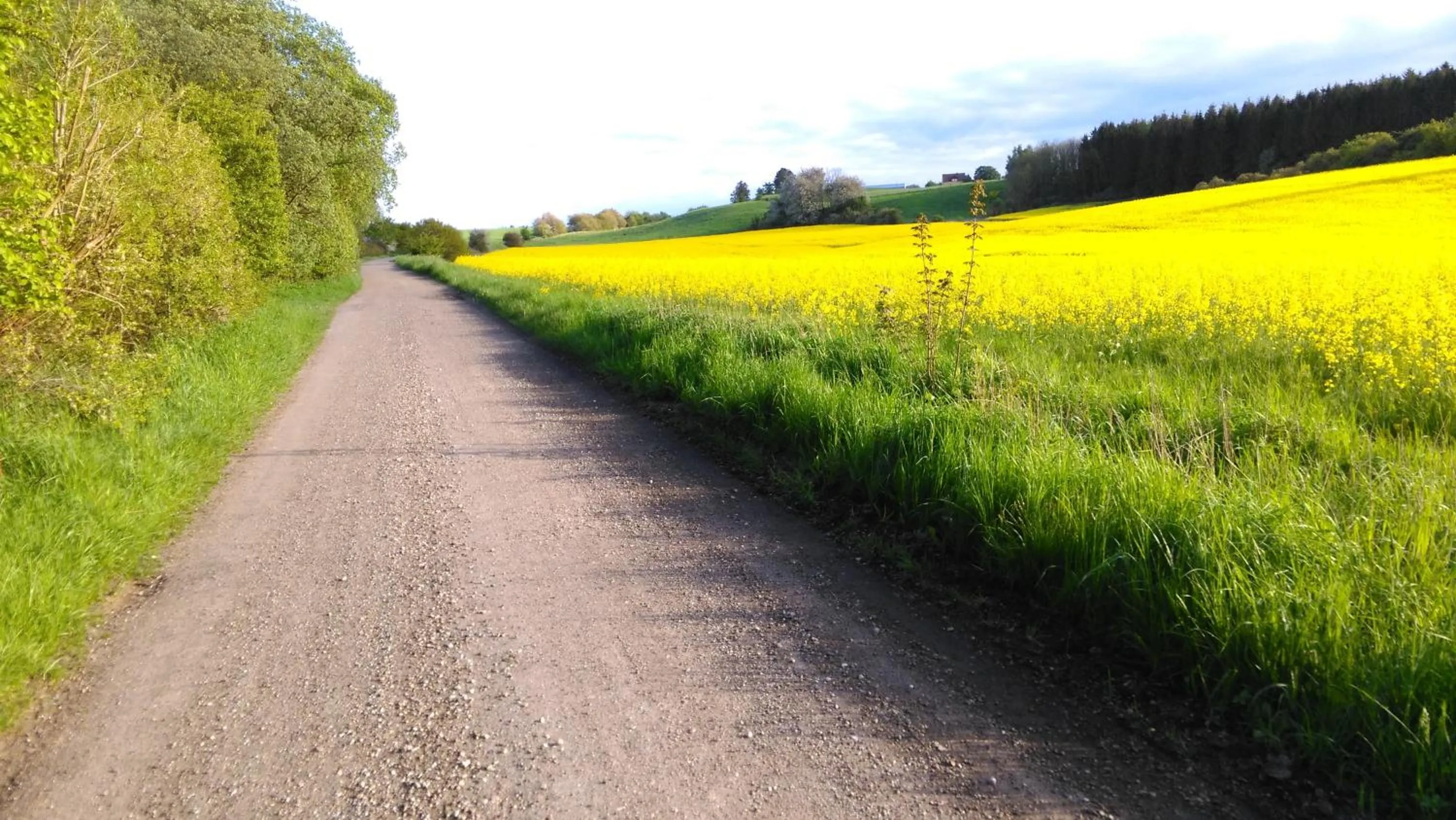 Neighbourhood in Minnesberg Bed & Breakfast