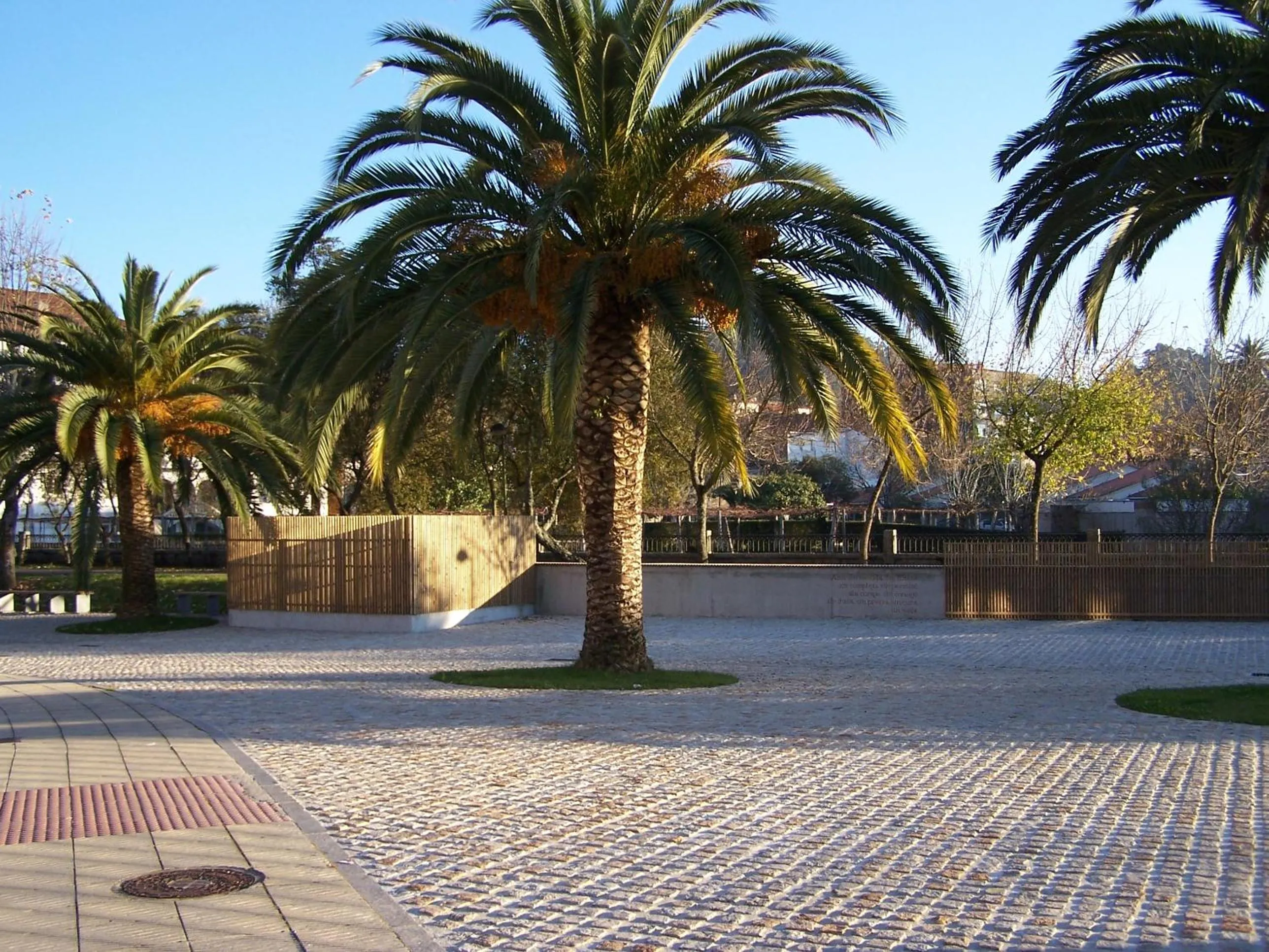 Natural landscape in Pensión As Burgas