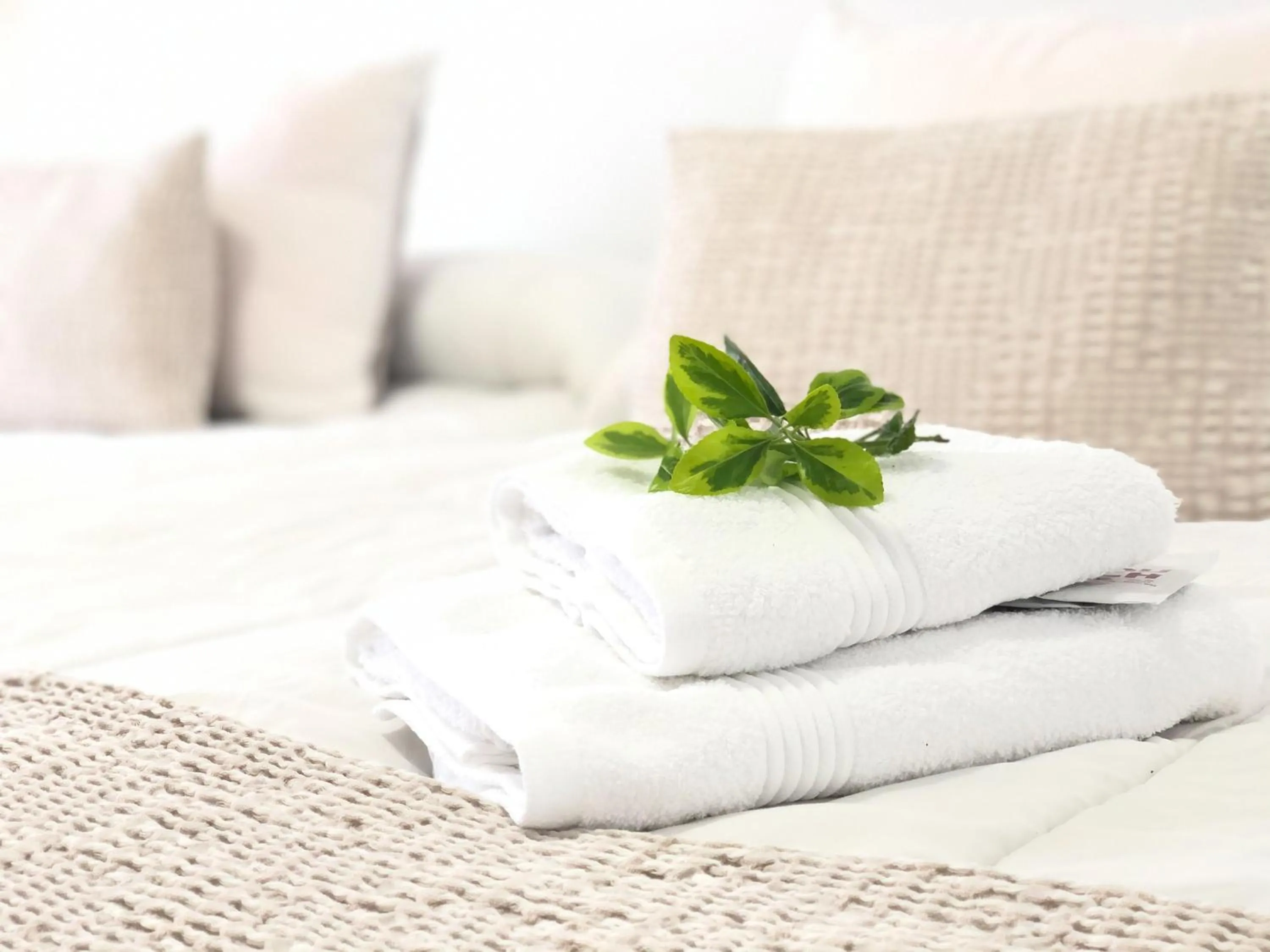 Bed in Pensión As Burgas