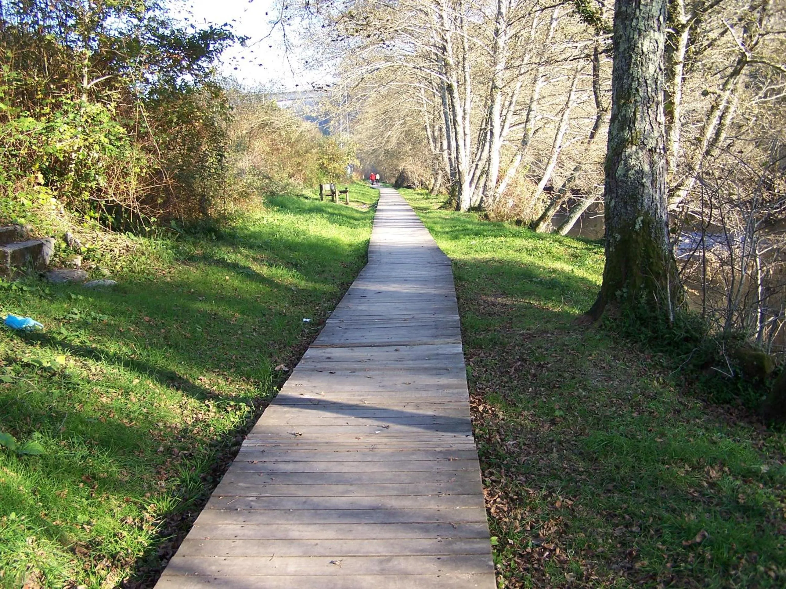 Natural landscape in Pensión As Burgas