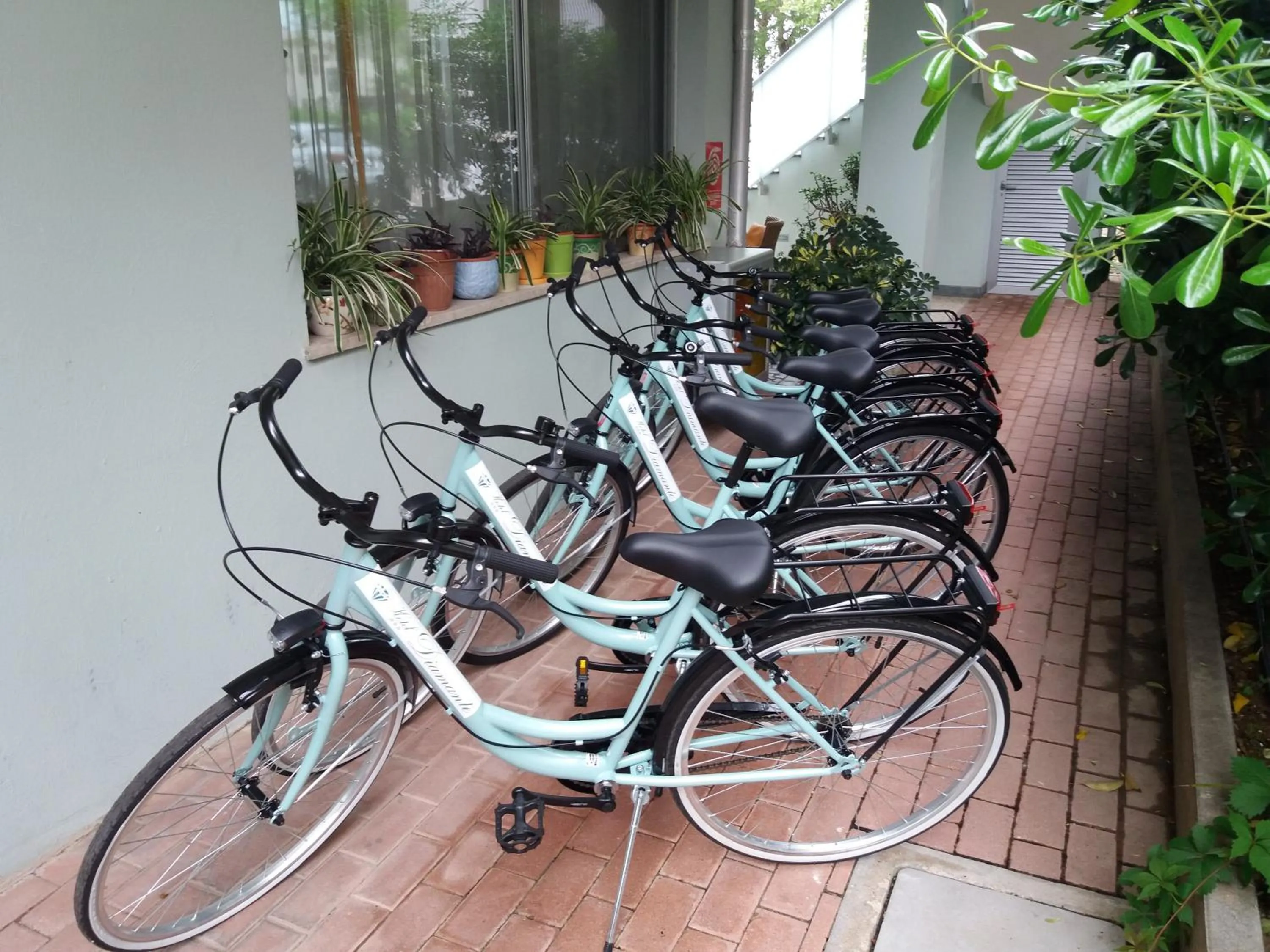 Cycling in Hotel Diamante