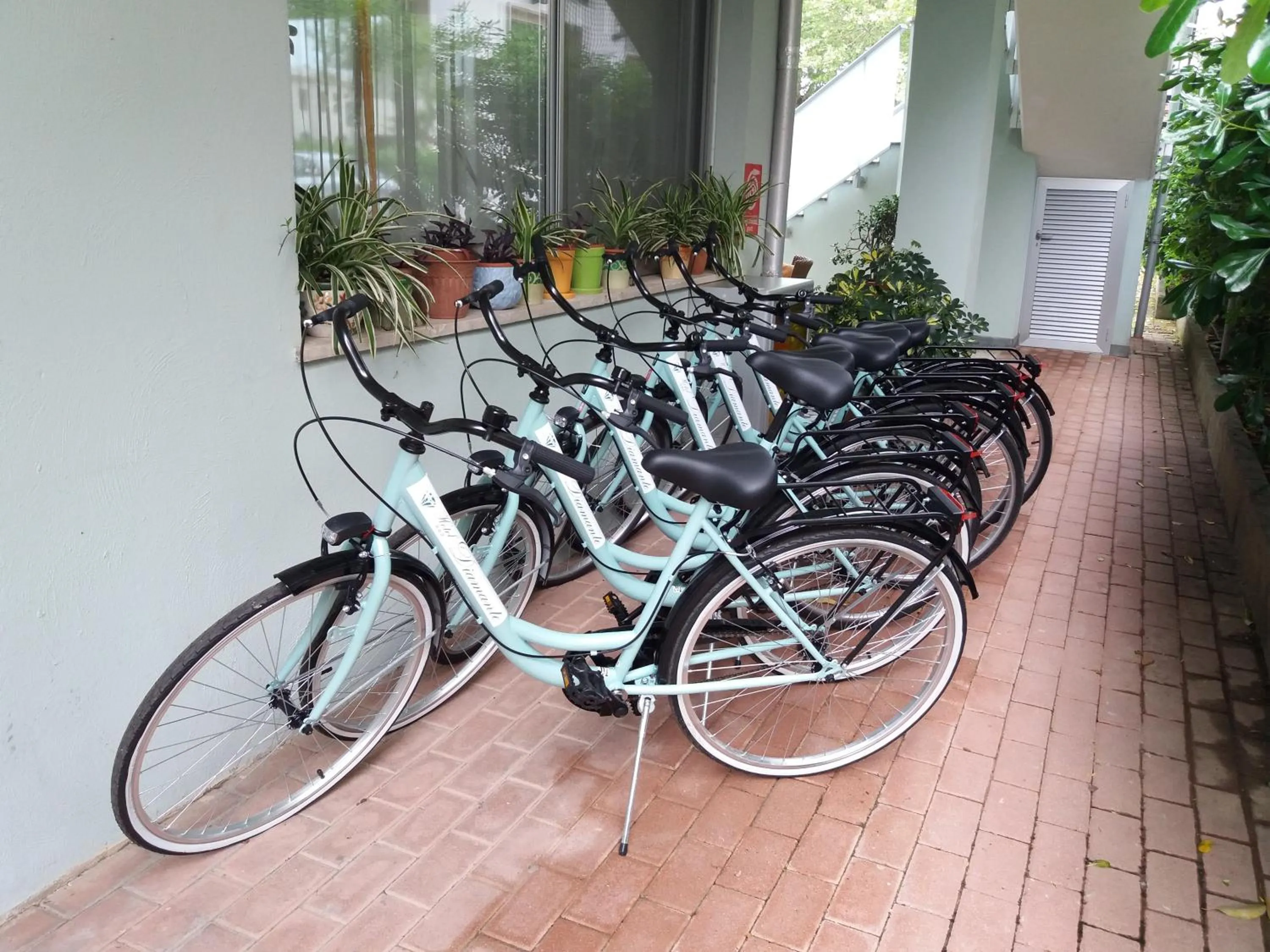 Cycling in Hotel Diamante