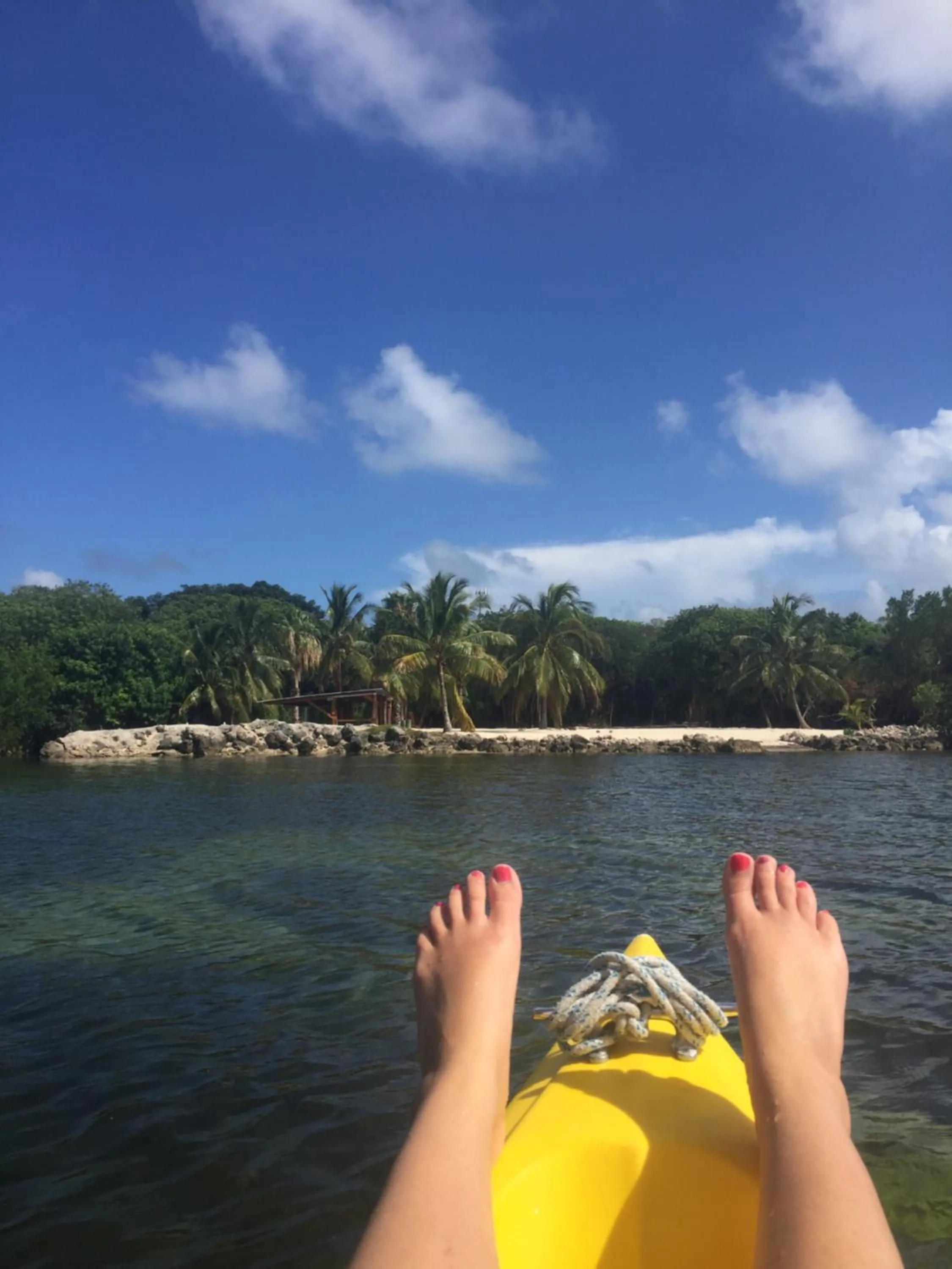 Natural landscape in Key Largo Cottages