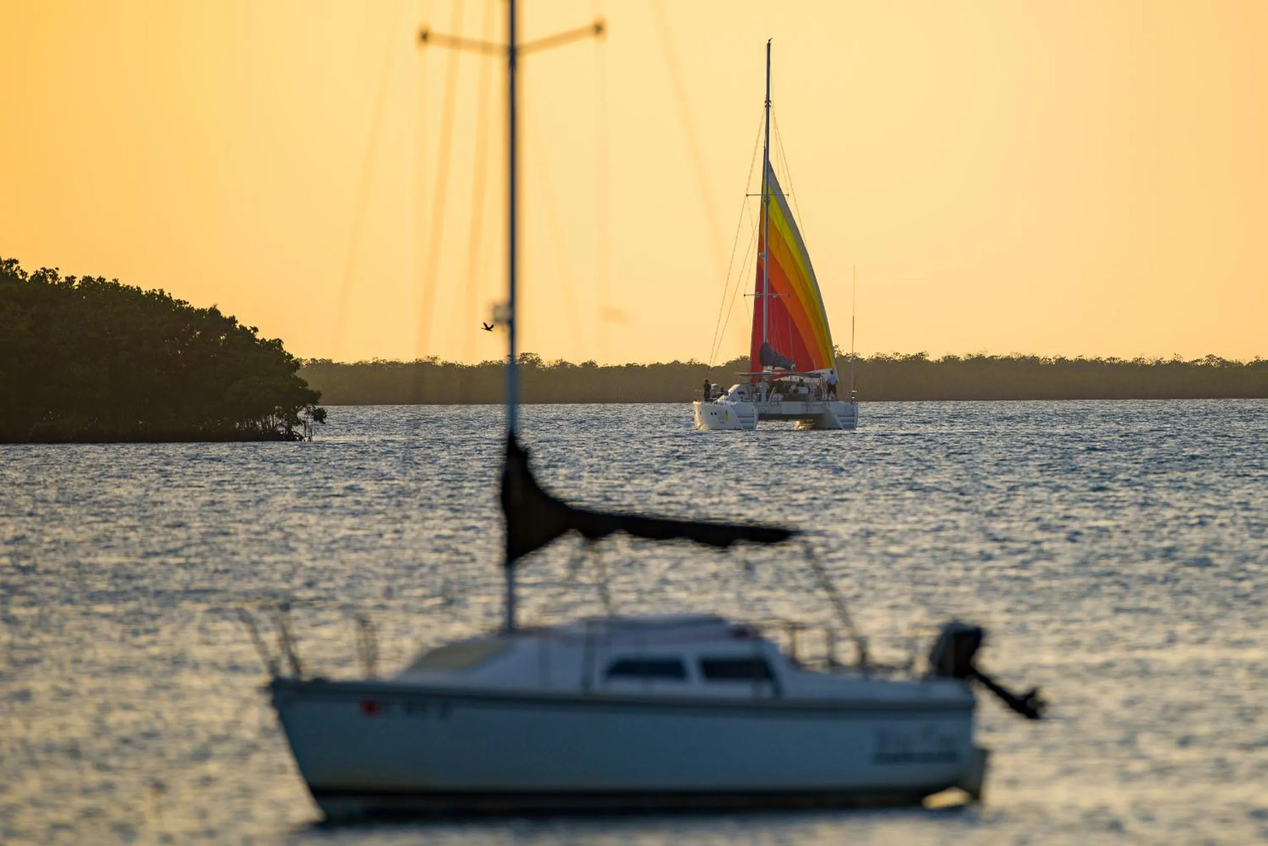 Activities in Key Largo Cottages