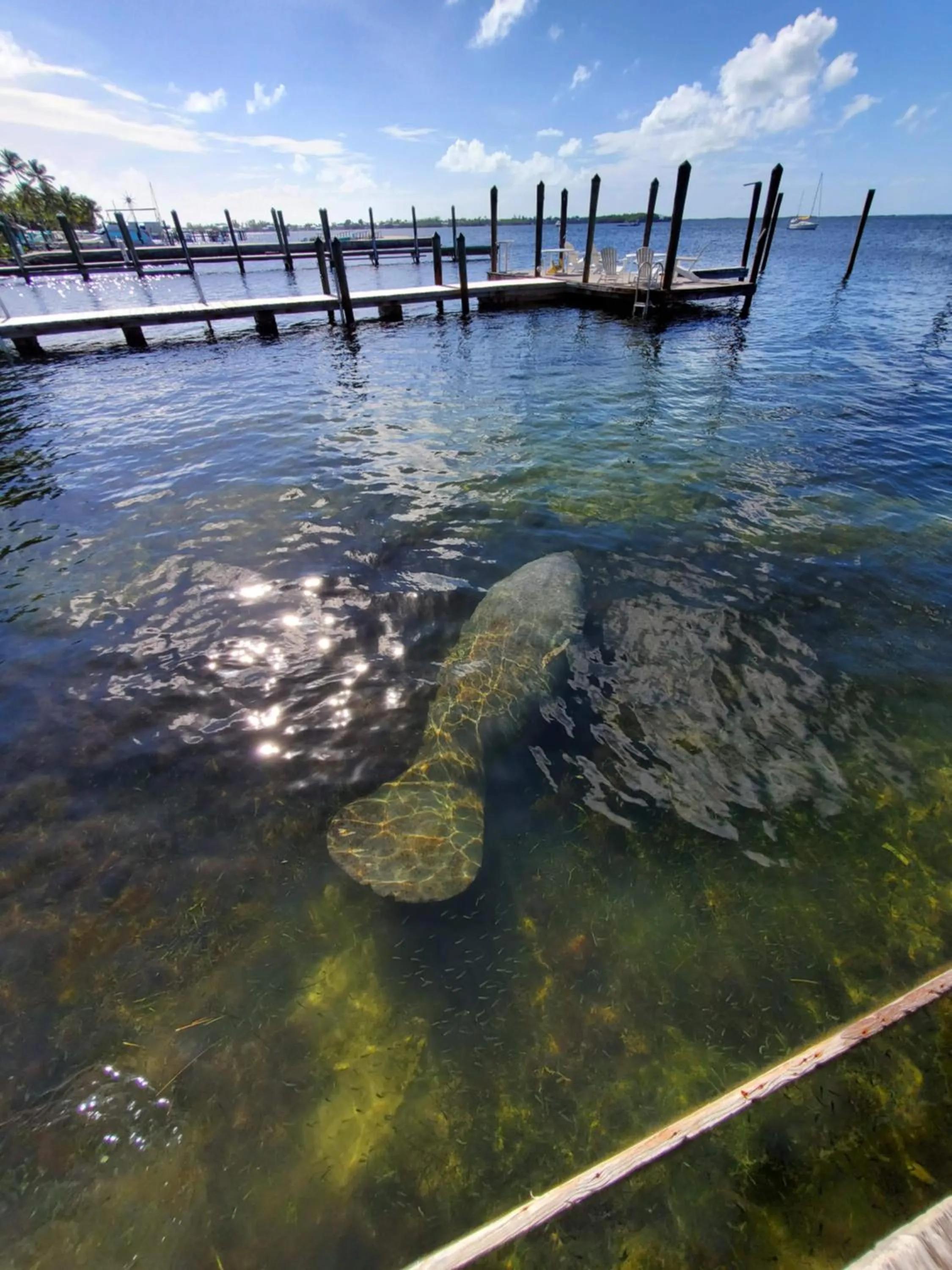 Day in Key Largo Cottages