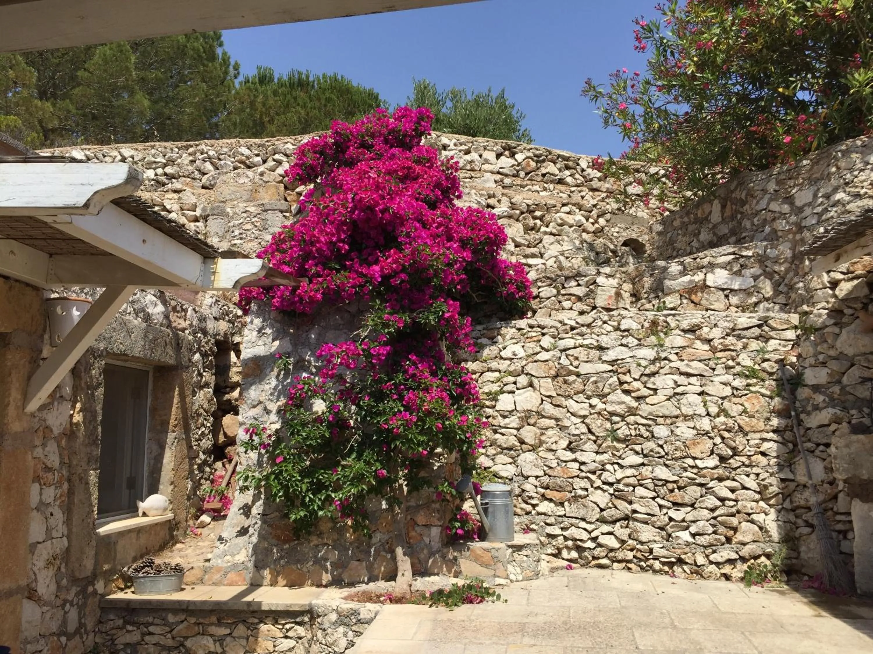 Facade/entrance in Hotel Piccolo Mondo
