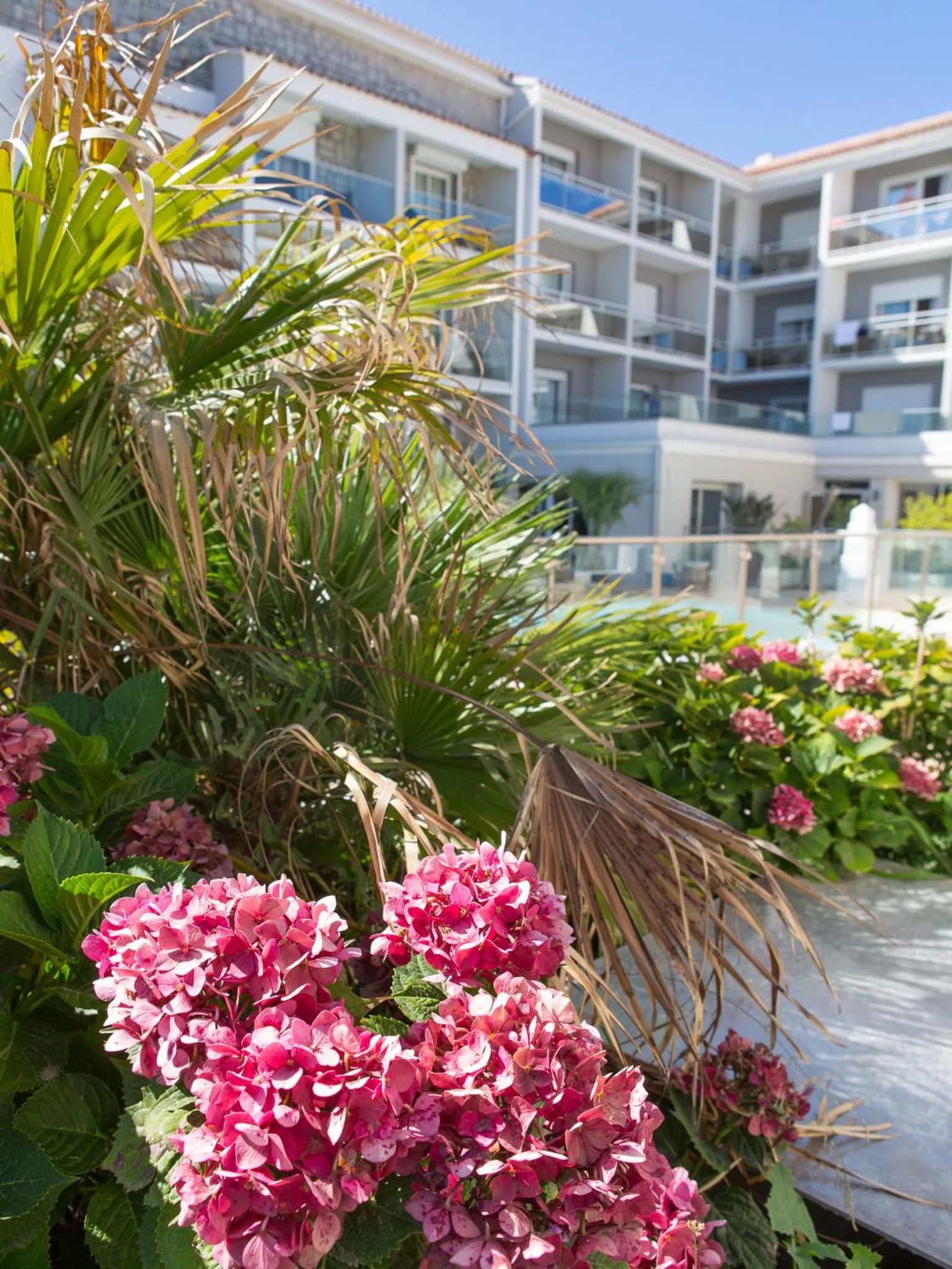 Garden in Hotel Revellata & Spa