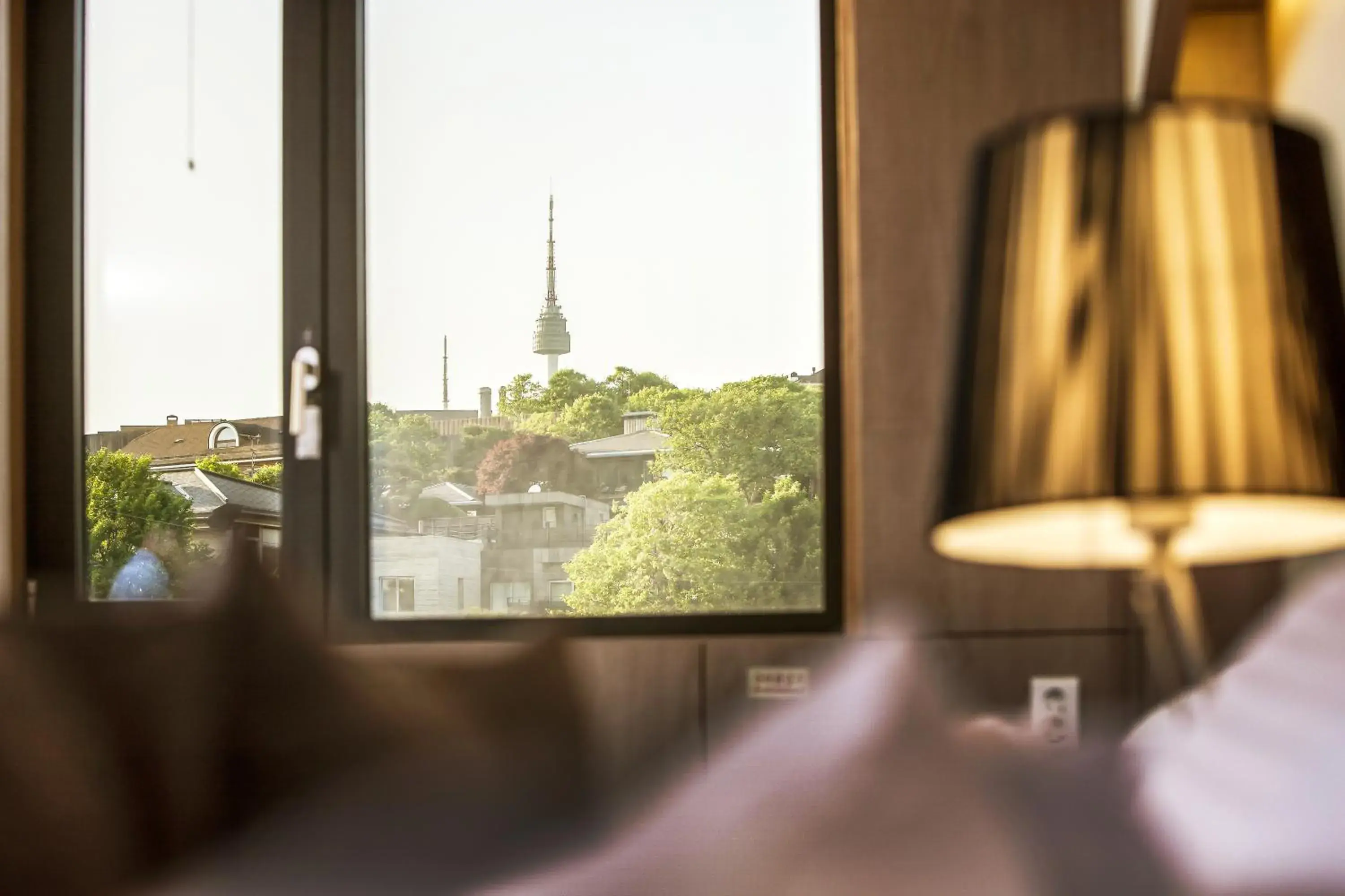 Mountain view in Hamilton Hotel Mountain view in Hamilton Hotel