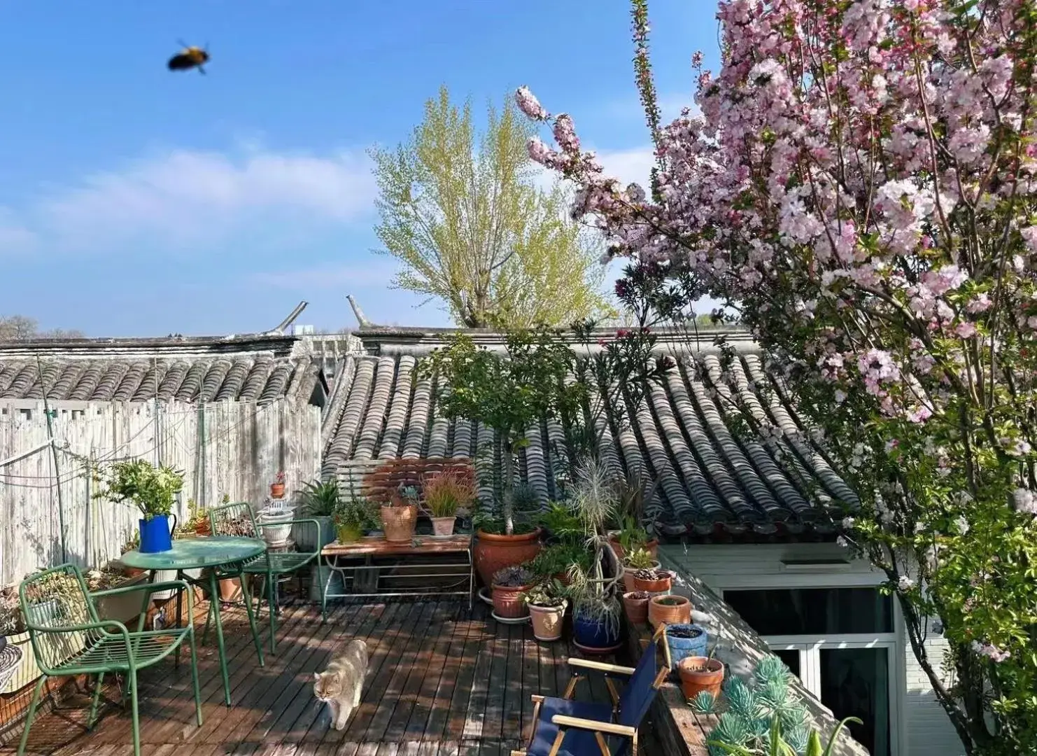 Peking Garden Siheyuan Boutique Hotel-Forbidden City&Beihai Park&Historic Hutong-Traditionnal yard&Sunshine terrace&Tea house&home kitchen Peking Garden Siheyuan Boutique Hotel-Forbidden City&Beihai Park&Historic Hutong-Traditionnal yard&Sunshine terrace&Tea house&home kitchen