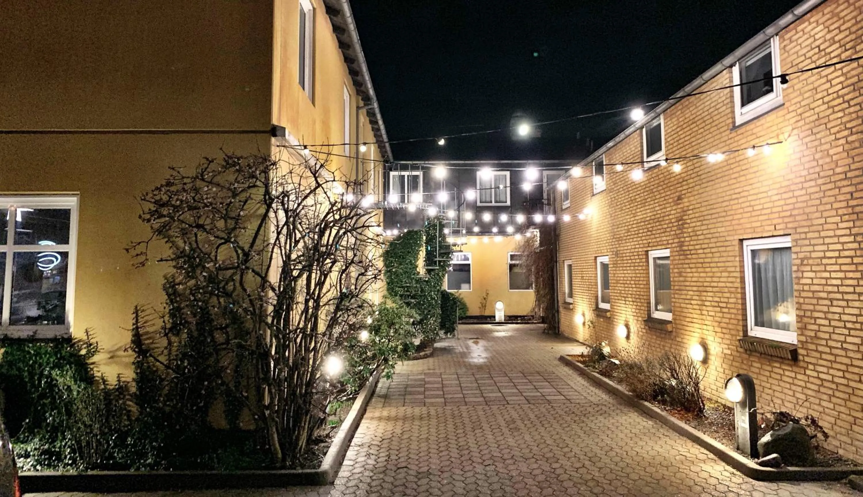 Natural landscape in Hotel Gammel Havn