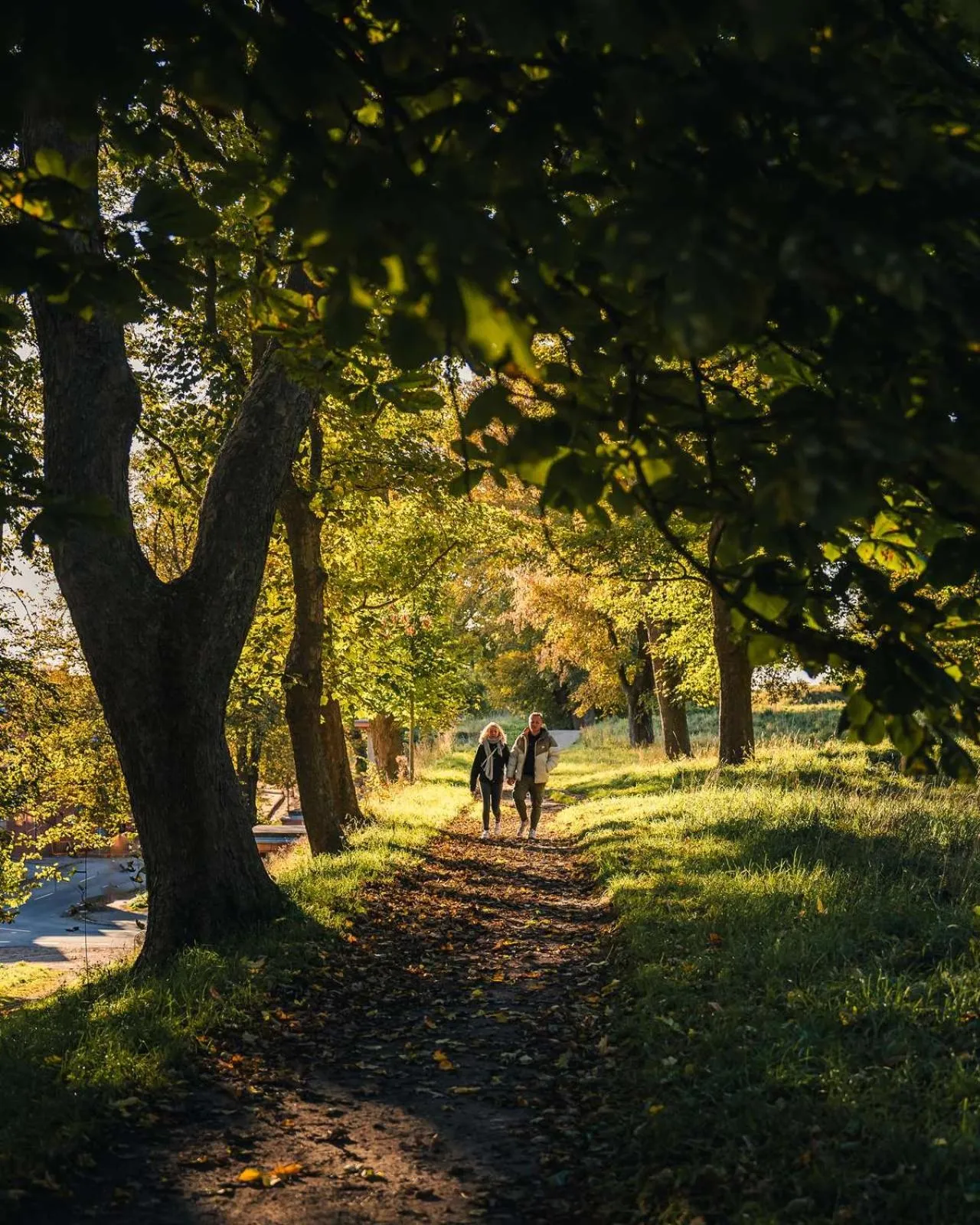 Hiking in Hotel Gammel Havn