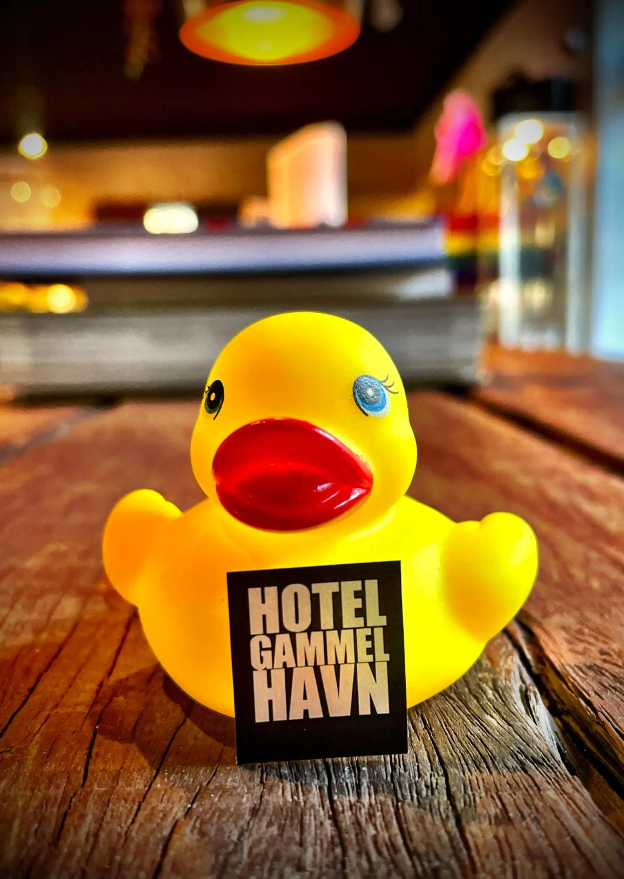 Lounge or bar in Hotel Gammel Havn