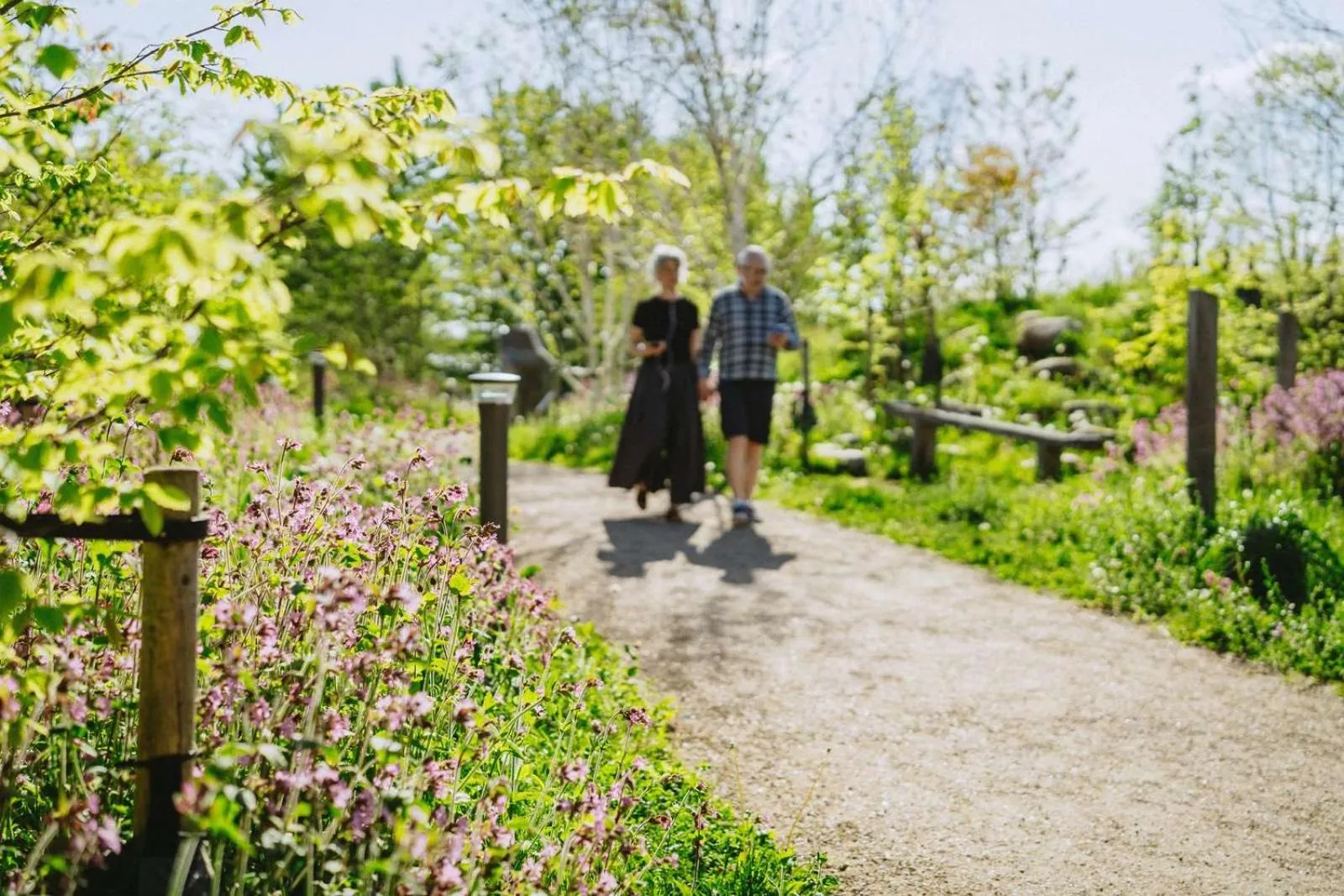 Hiking in Hotel Gammel Havn