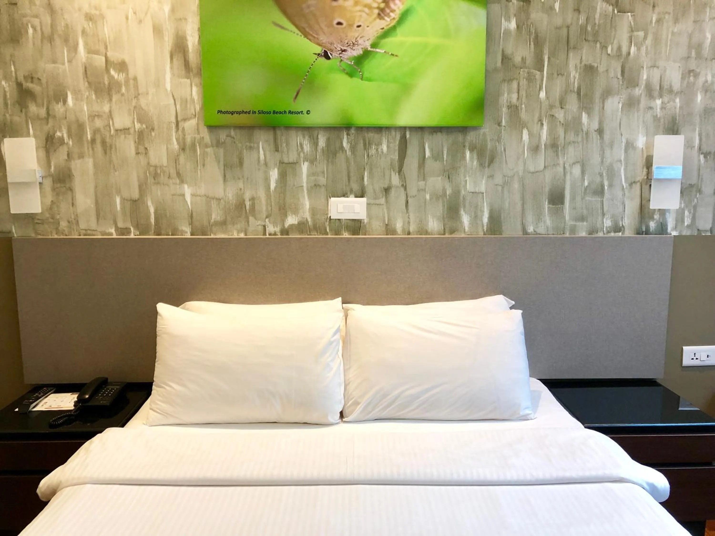 Bed in Siloso Beach Resort - Sentosa