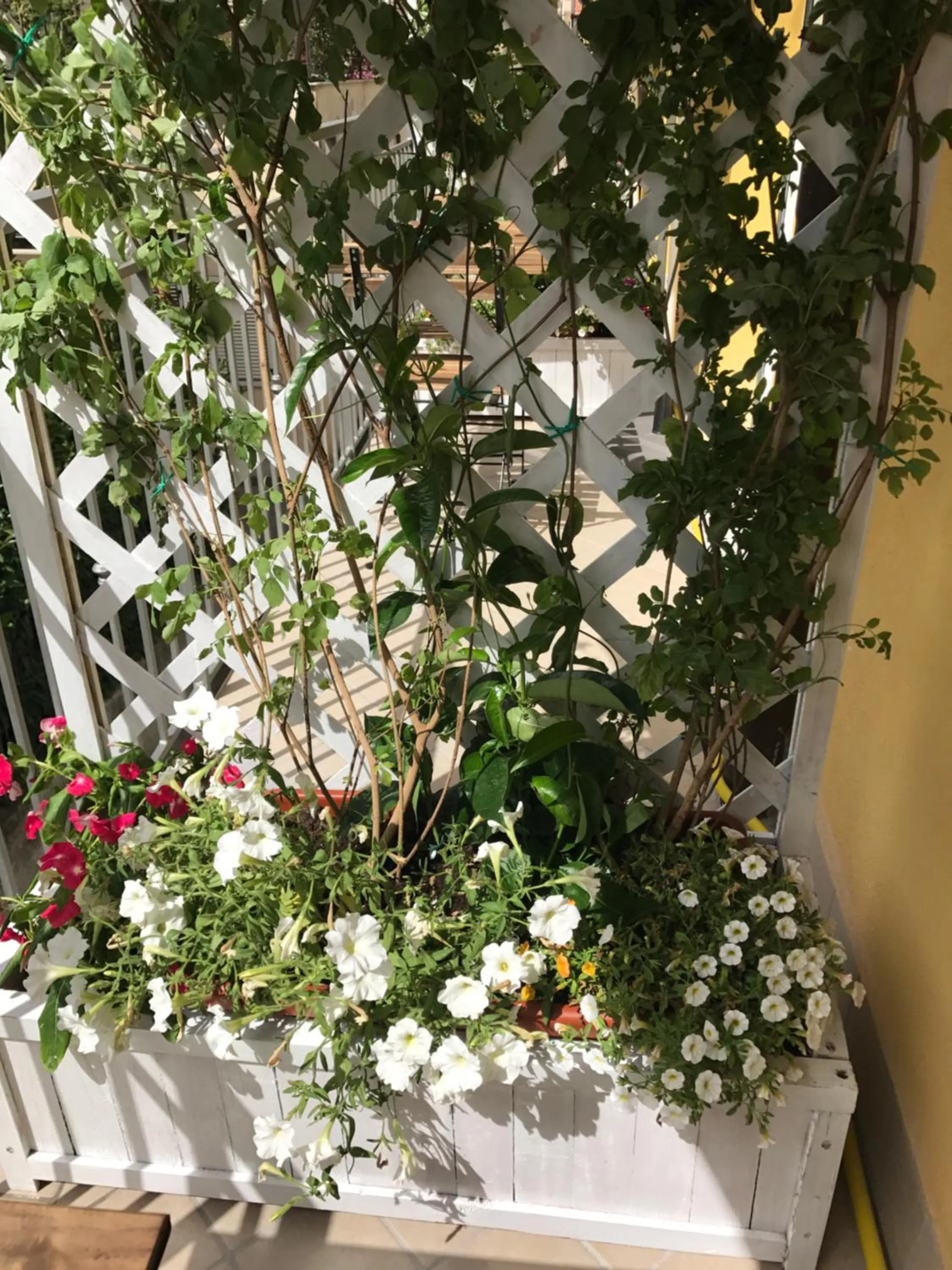 Floor plan in B&B Quasi in centro