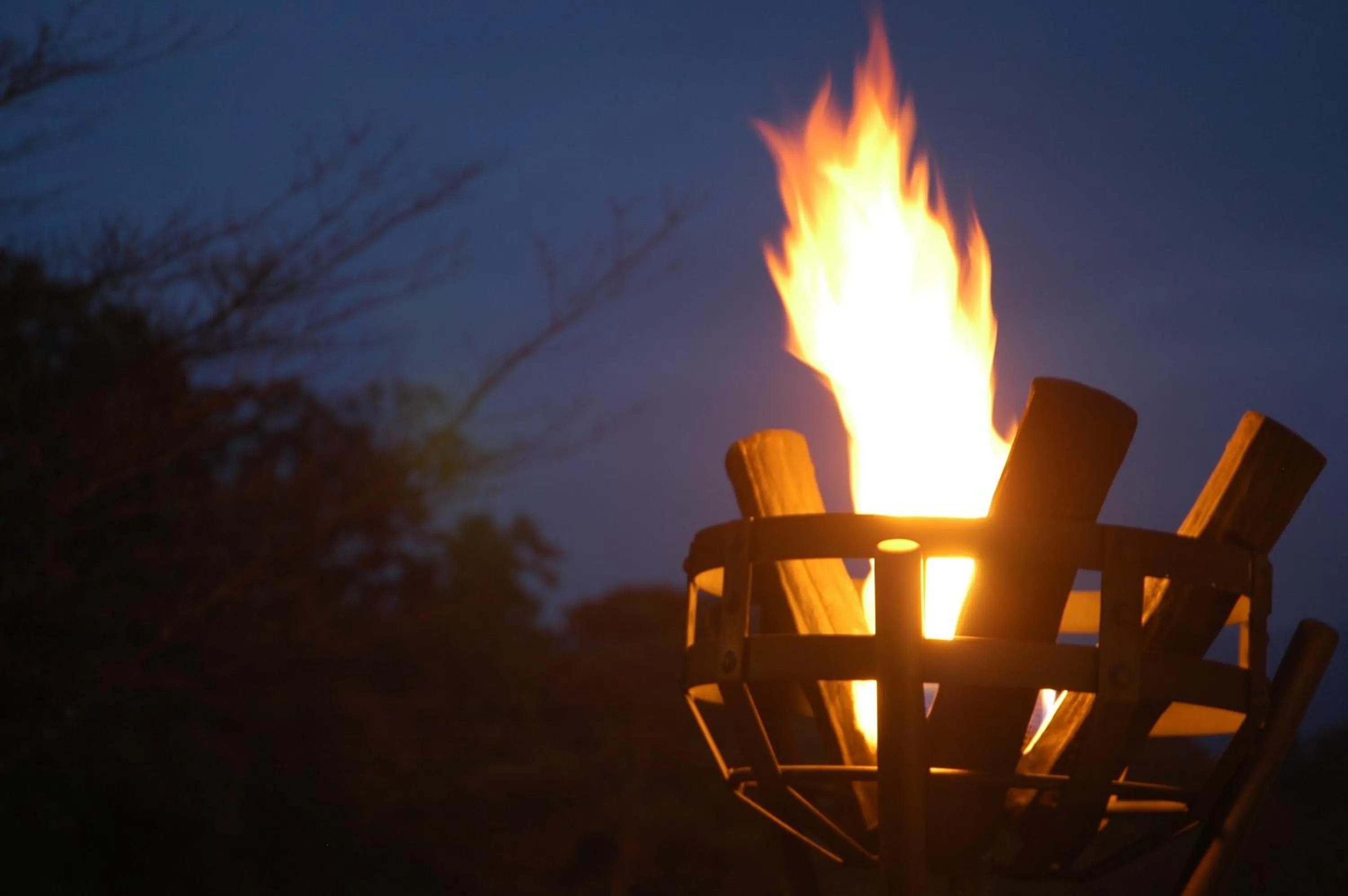 Decorative detail in Forest Hotel Rochefort