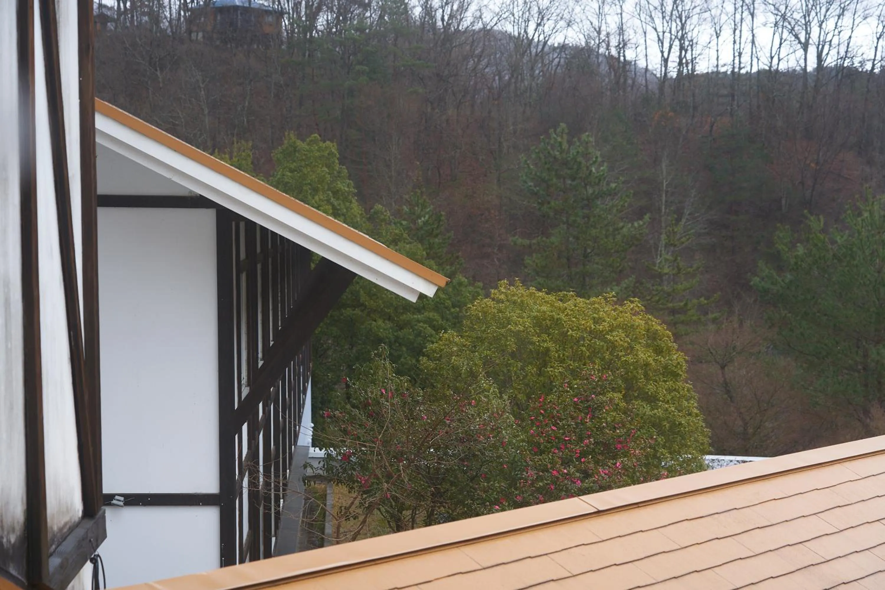 Forest Hotel Rochefort