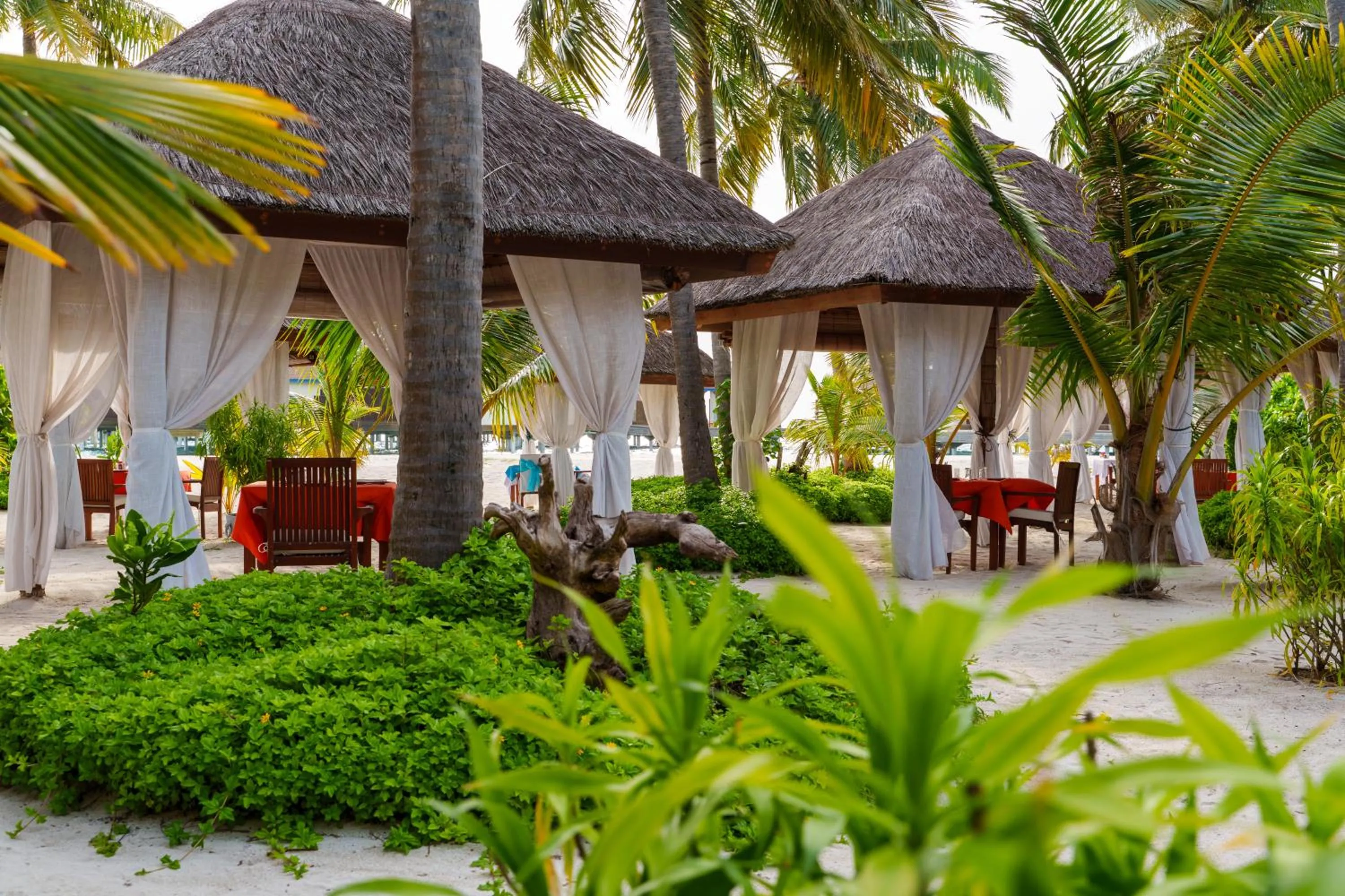 Garden in Reethi Faru Resort