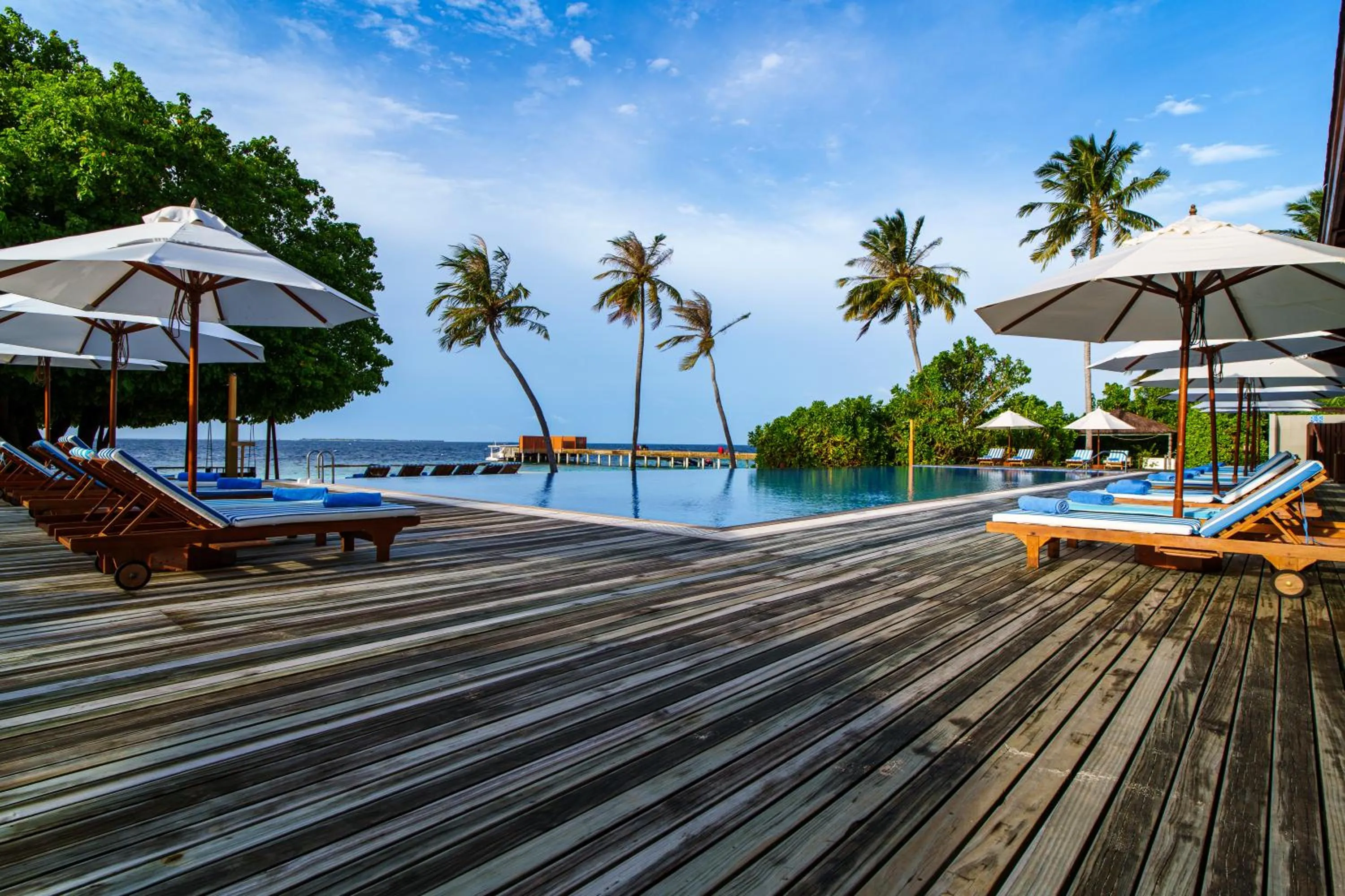 Swimming pool in Reethi Faru Resort