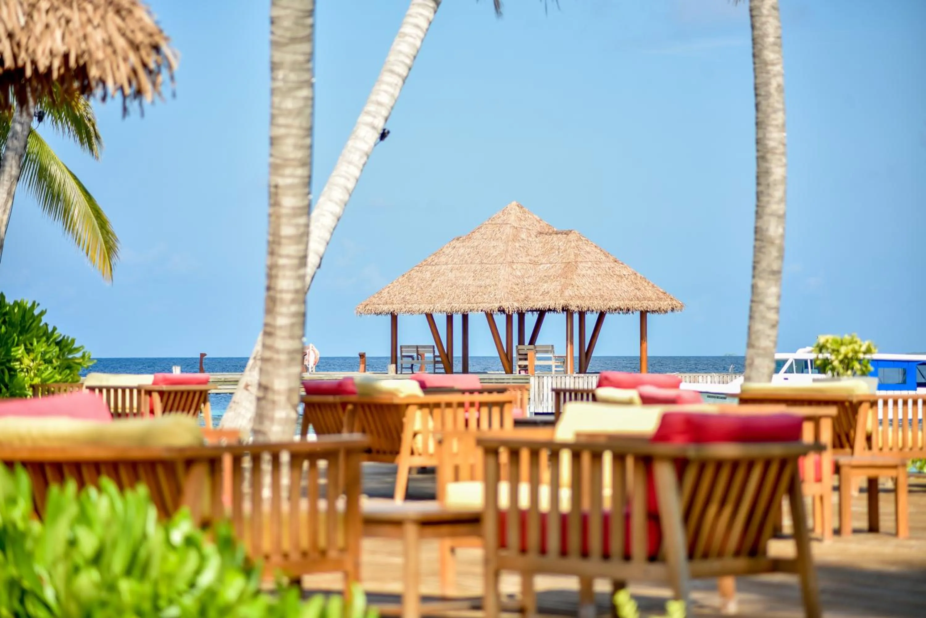 Lounge or bar in Reethi Faru Resort