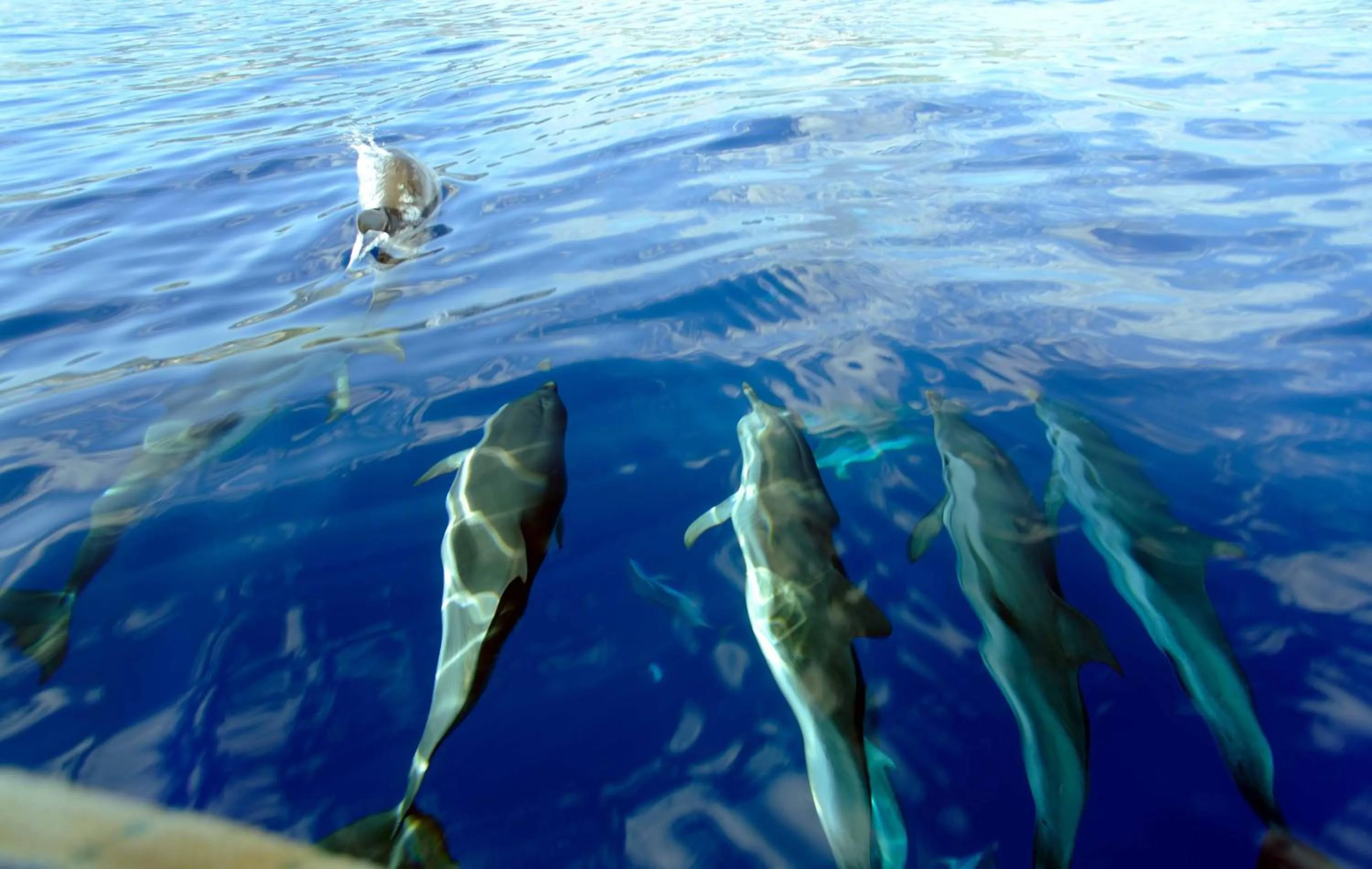 Hiking in Albergo Diffuso Mannois