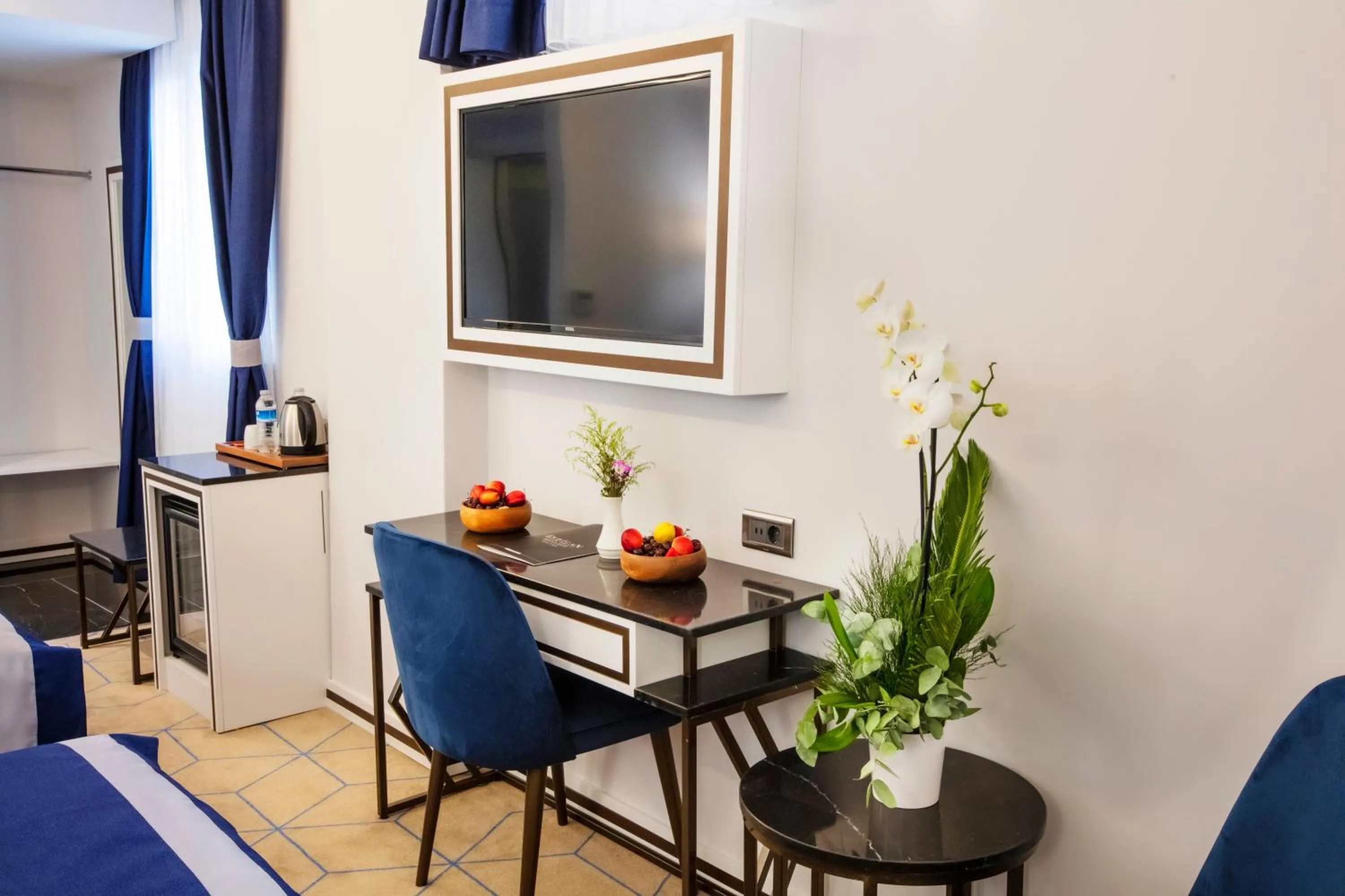 TV and multimedia in Endican Beyazit Hotel